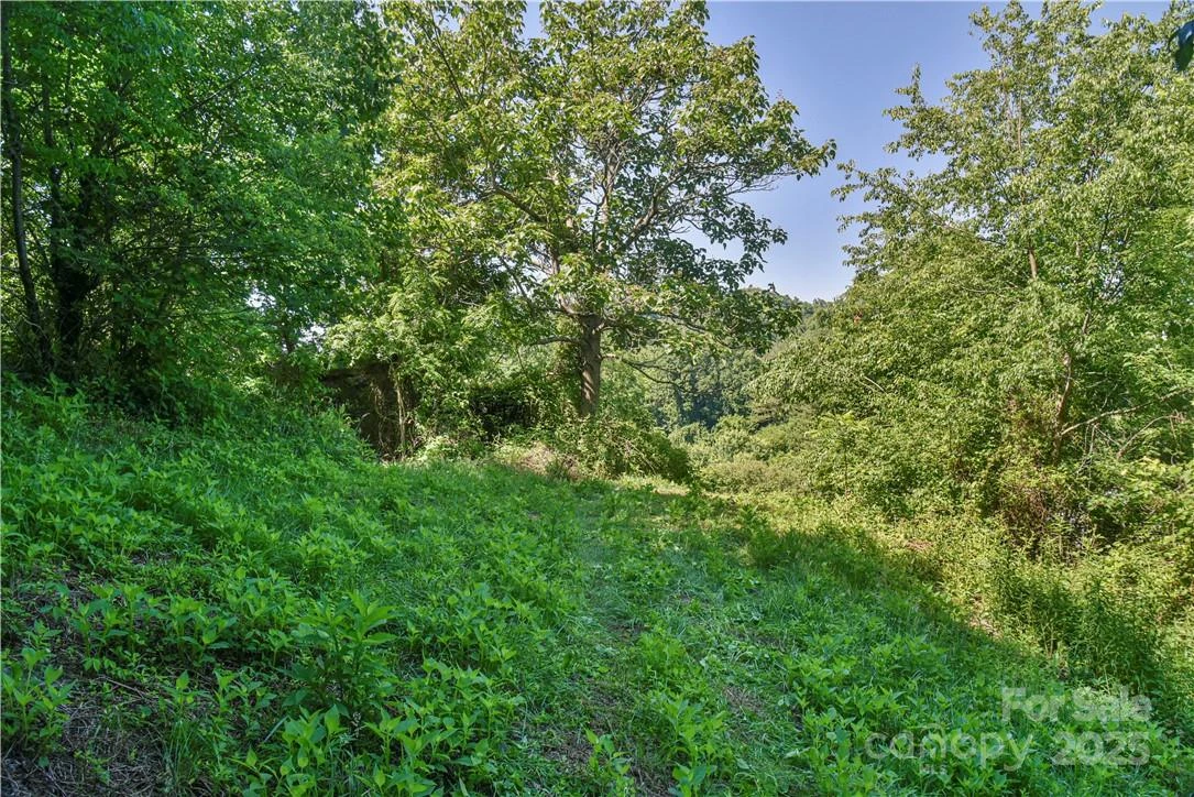 415 Weaverville Road - Photo 12