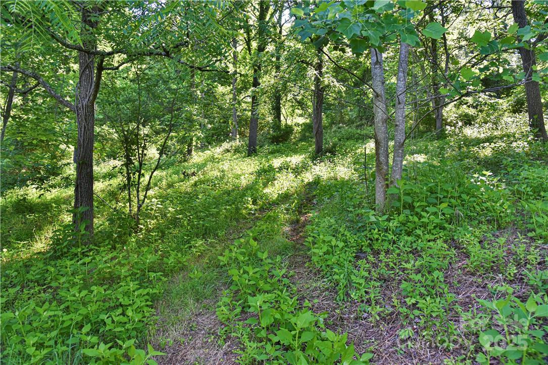 415 Weaverville Road - Photo 13