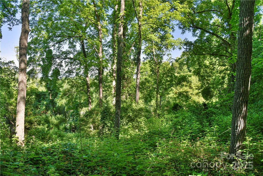 415 Weaverville Road - Photo 14