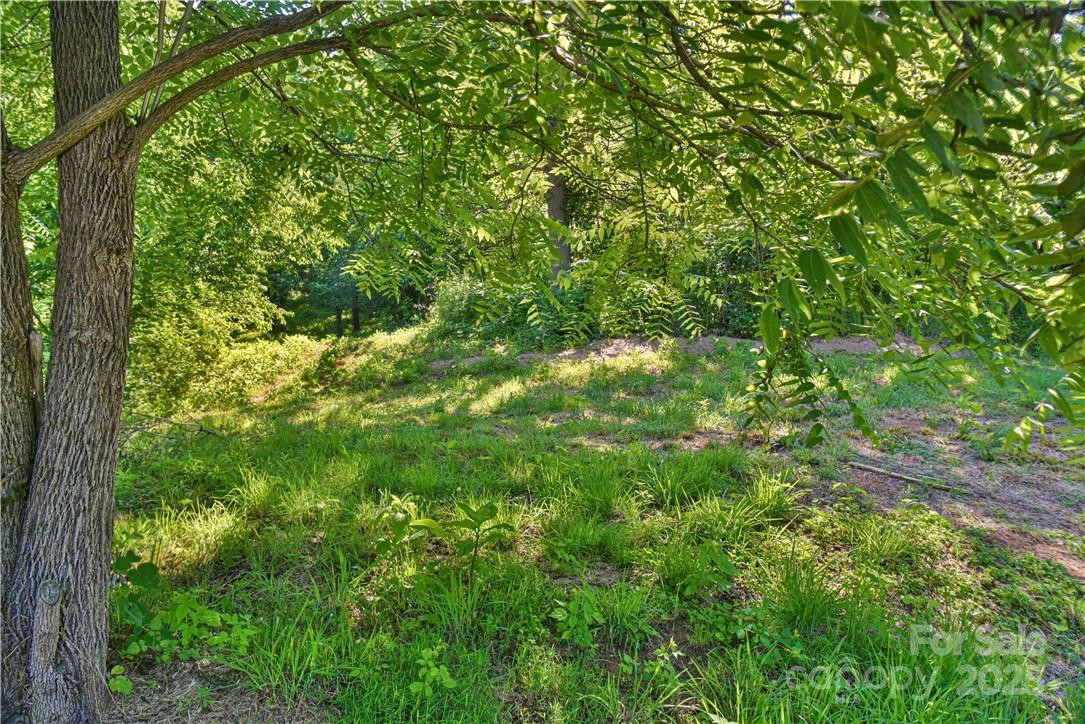 415 Weaverville Road - Photo 15