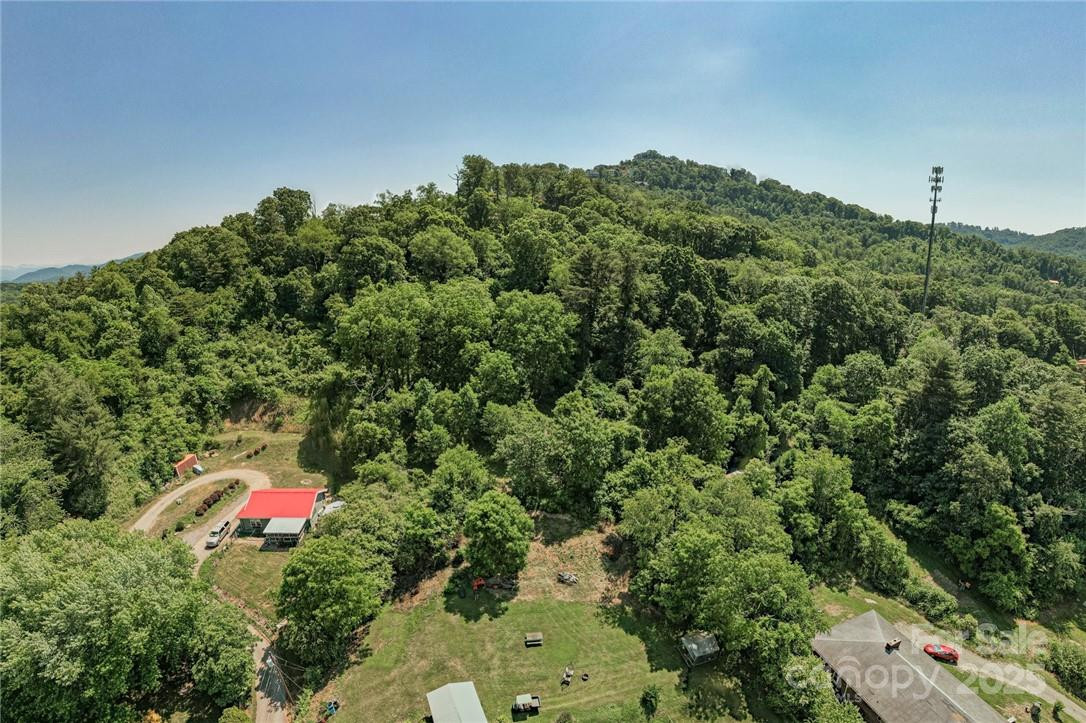 415 Weaverville Road - Photo 43