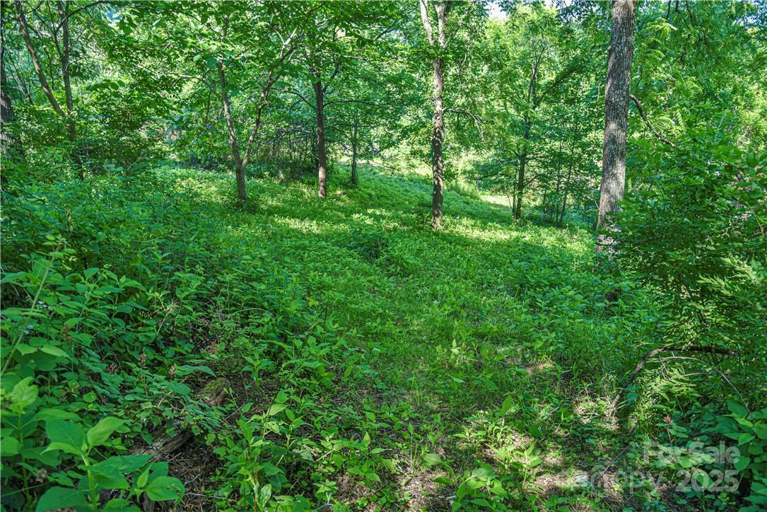 415 Weaverville Road - Photo 10