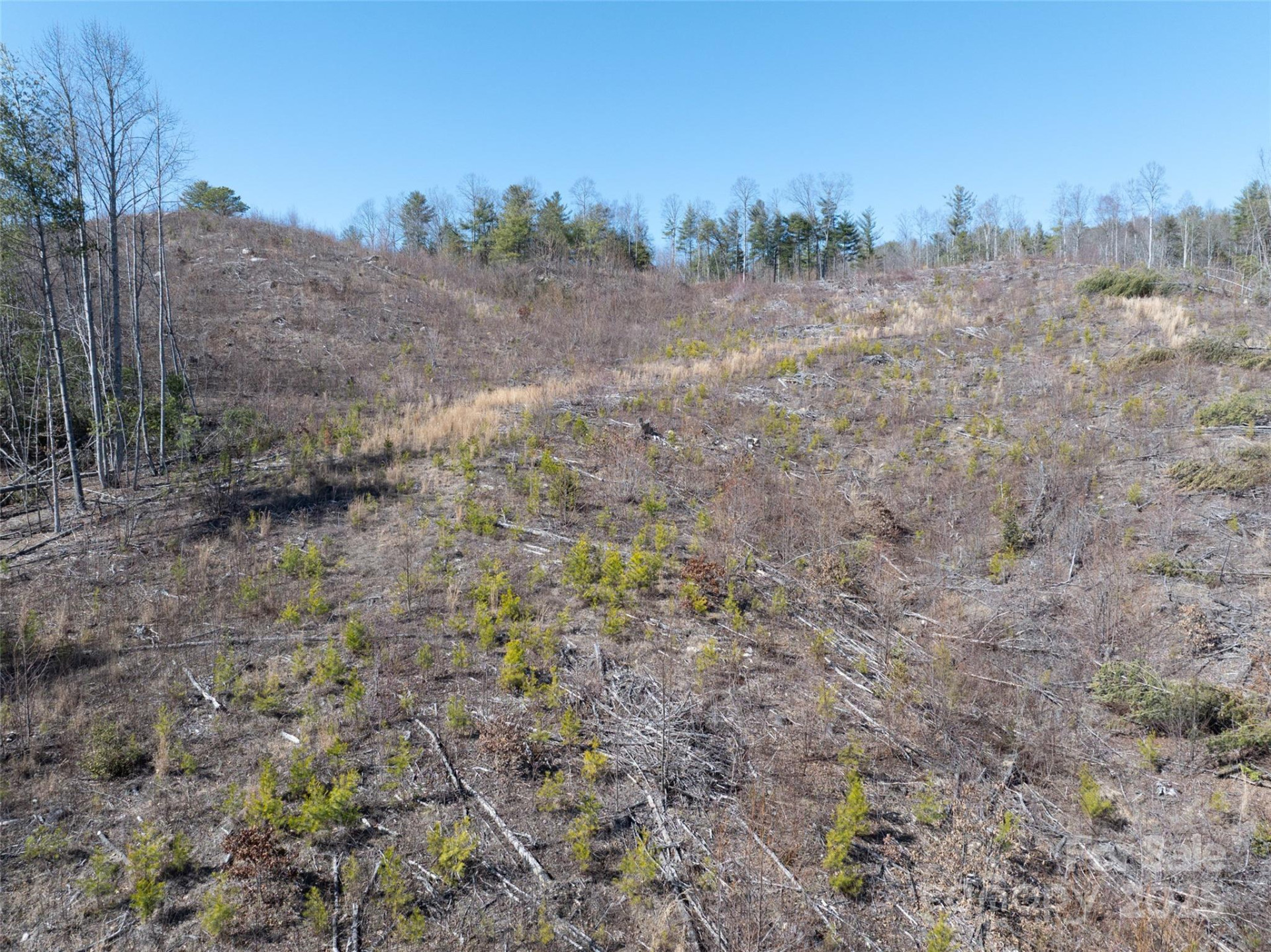 00 Star Point Drive #09 - Photo 8