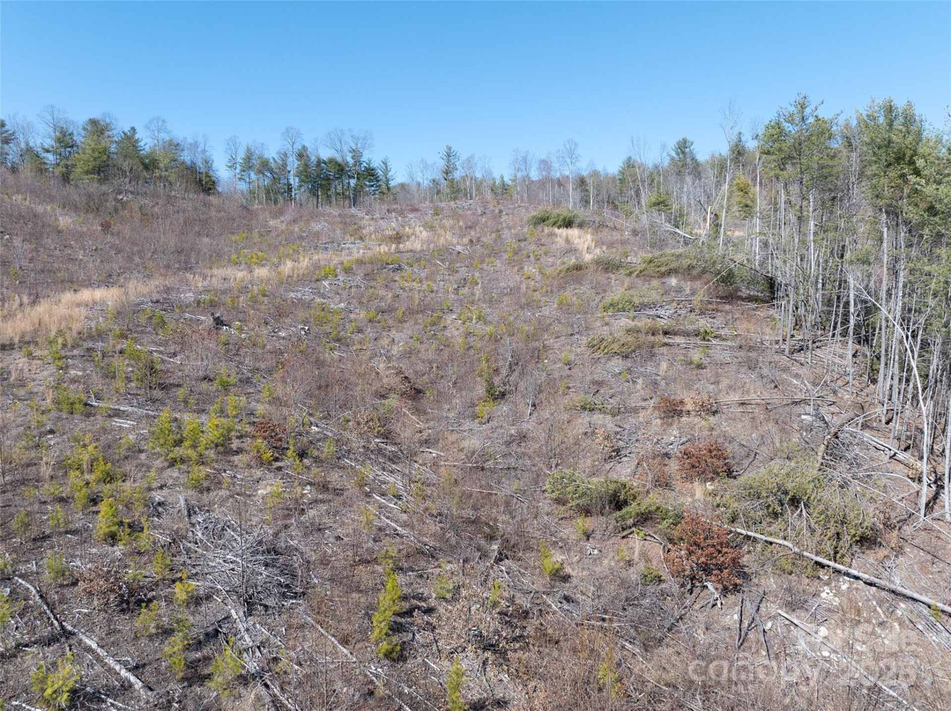 00 Star Point Drive #09 - Photo 9