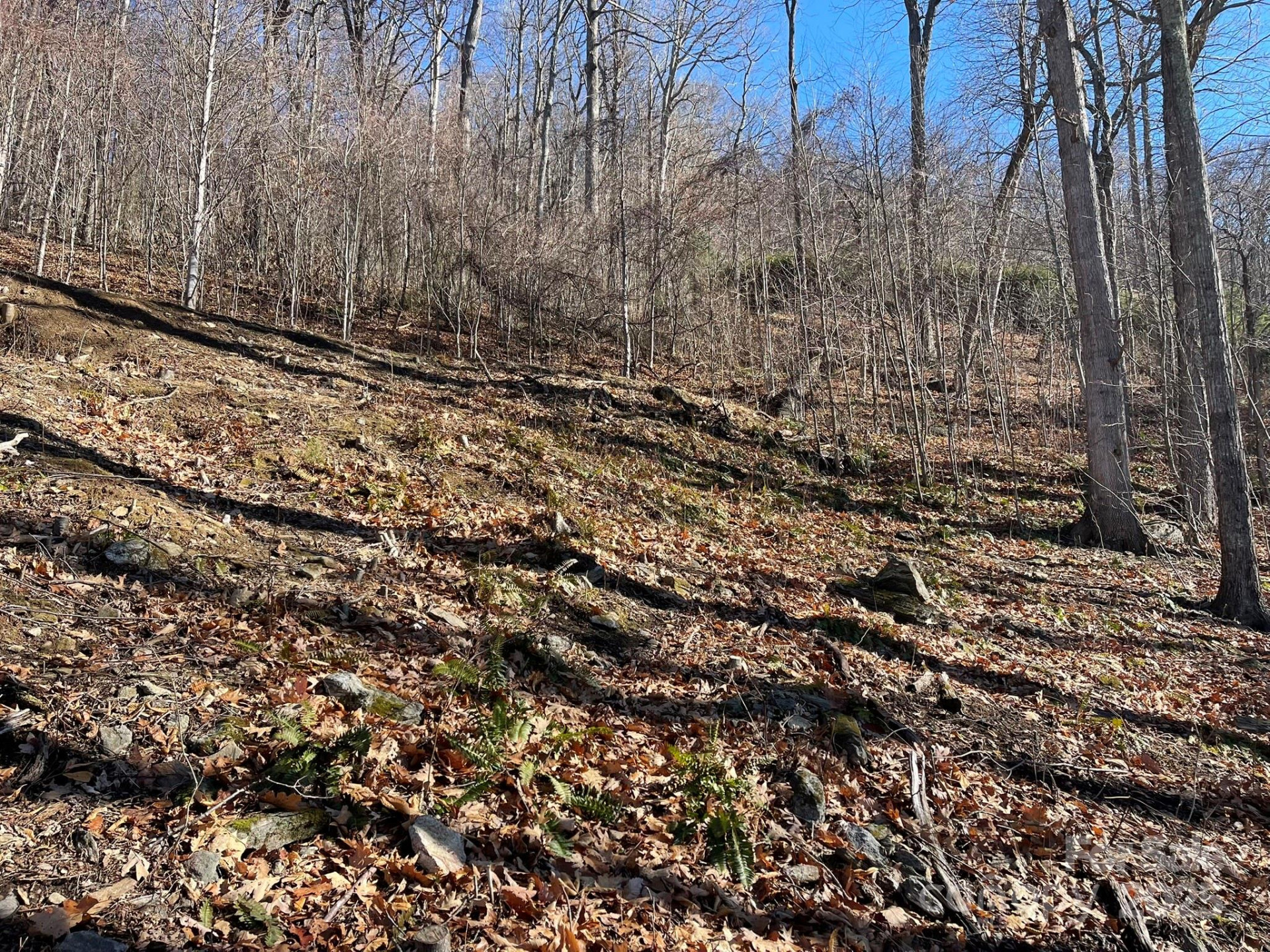 362 Equestrian Drive #18 - Photo 11