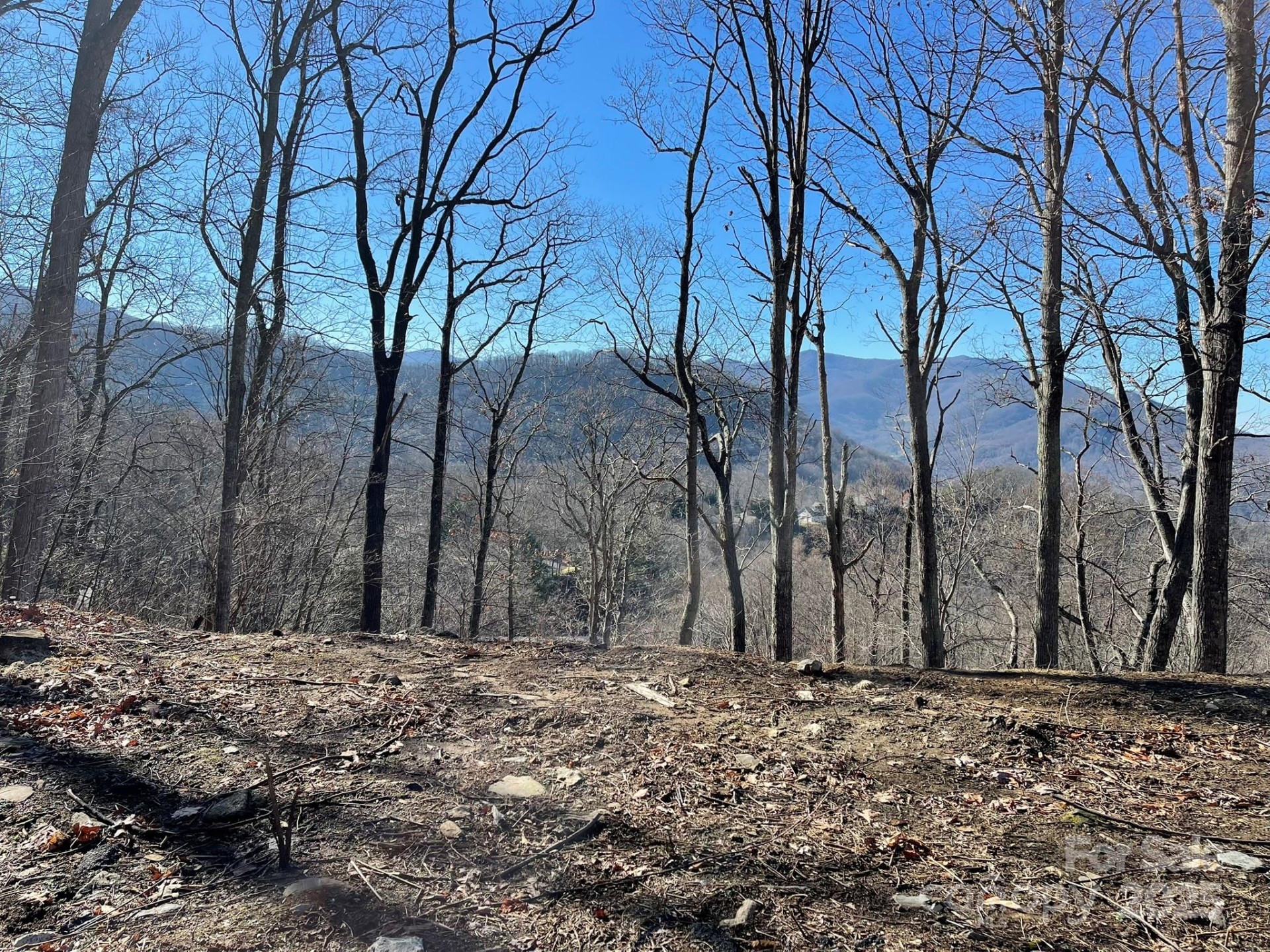 362 Equestrian Drive #18 - Photo 5