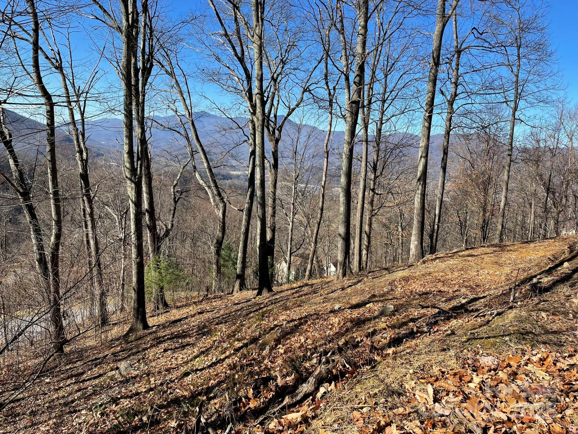 362 Equestrian Drive #18 - Photo 8