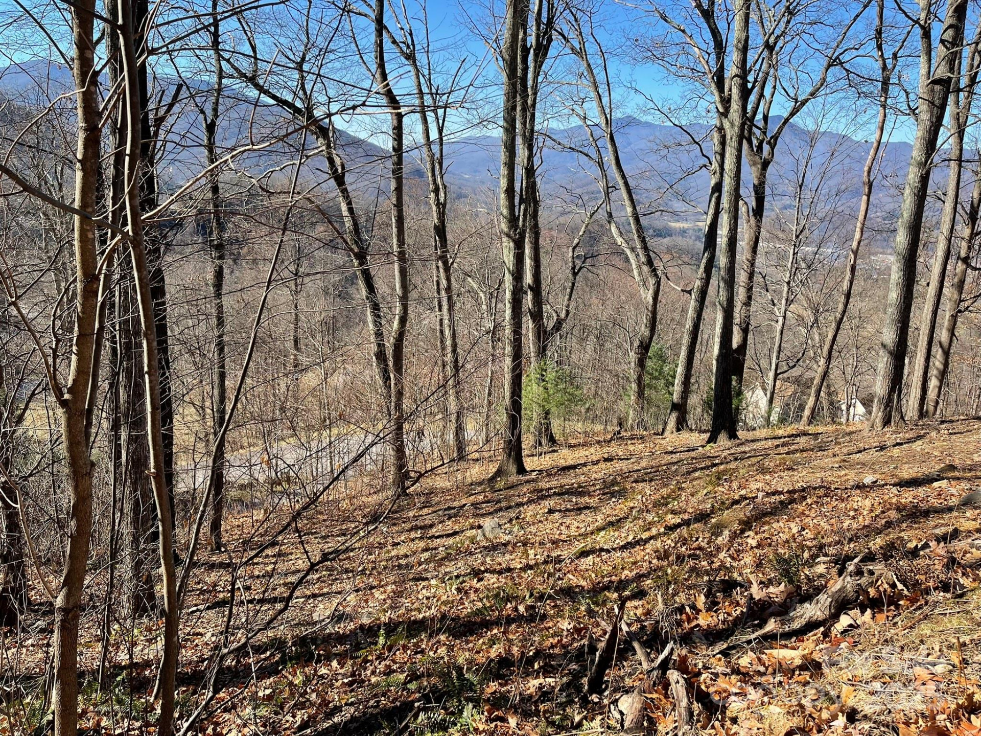 362 Equestrian Drive #18 - Photo 9