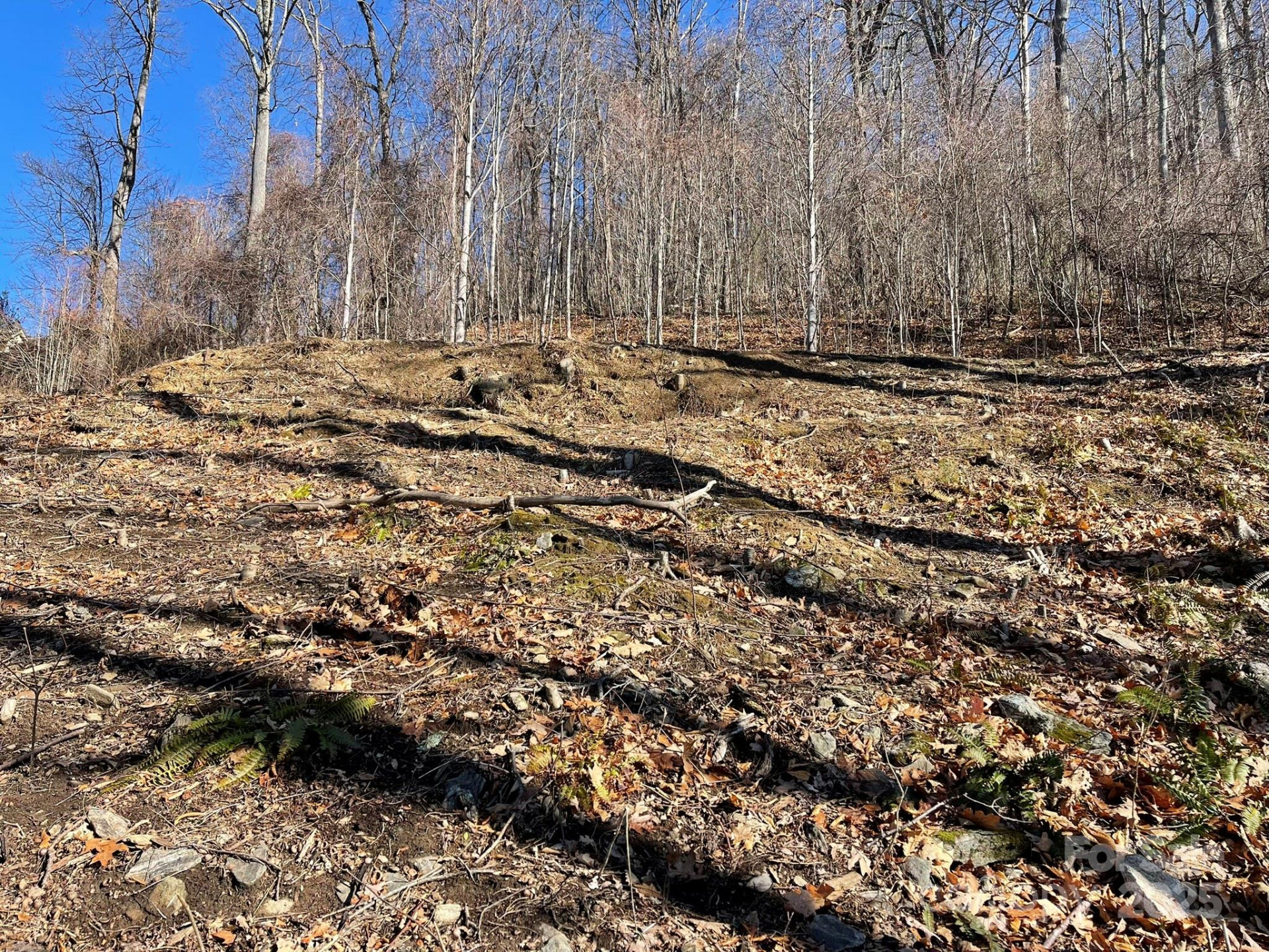 362 Equestrian Drive #18 - Photo 10