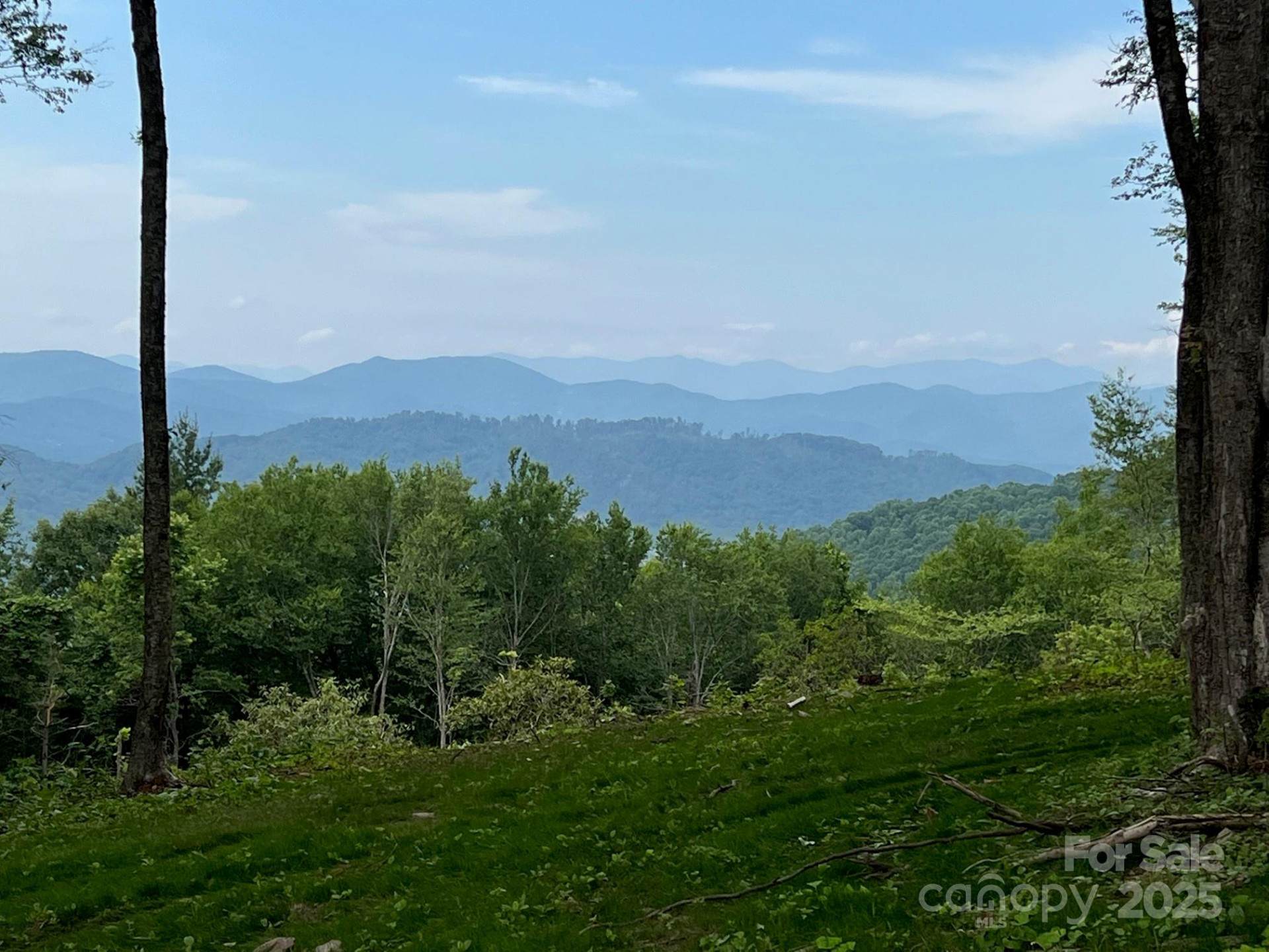 TBD East Garden Trail #18 - Photo 2