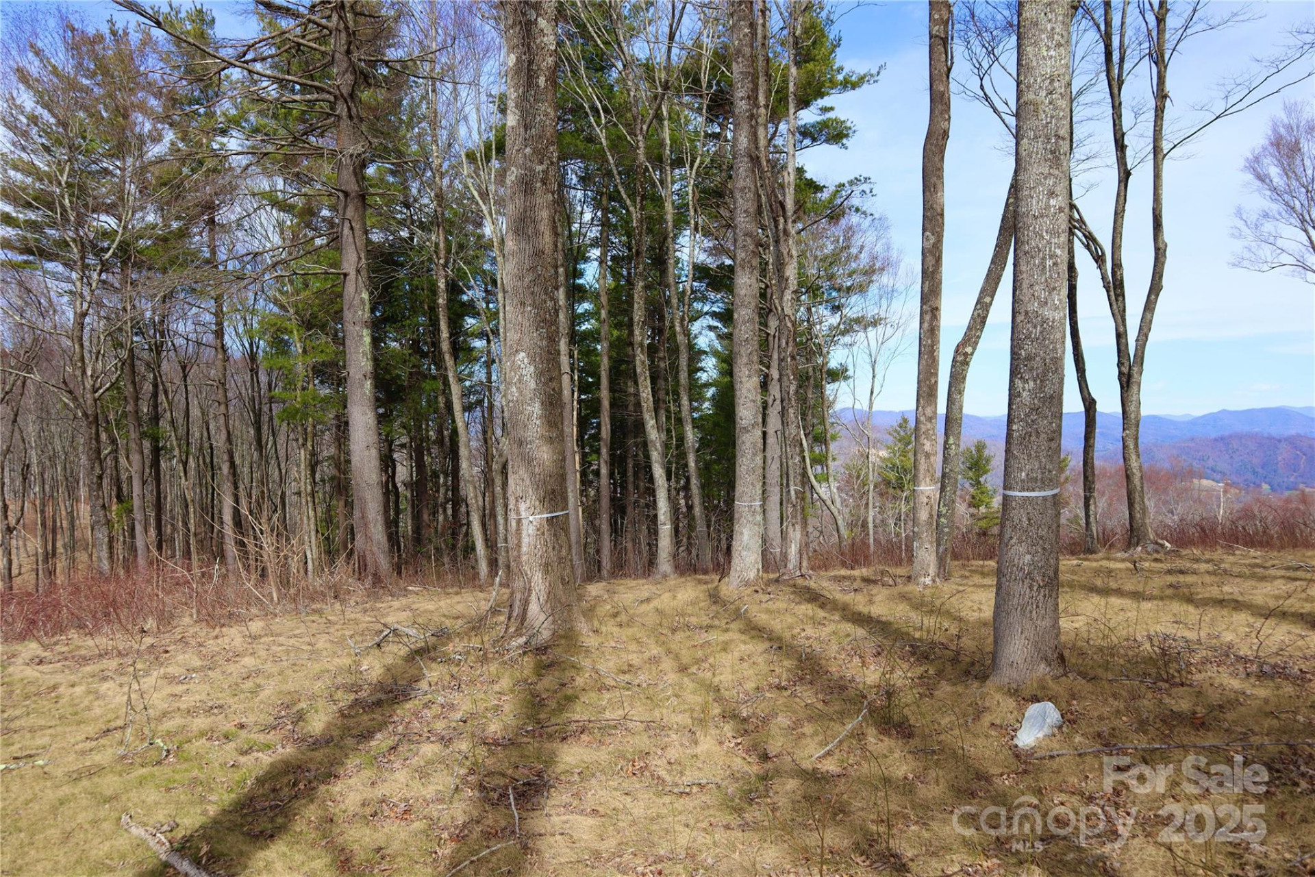 TBD East Garden Trail #18 - Photo 16