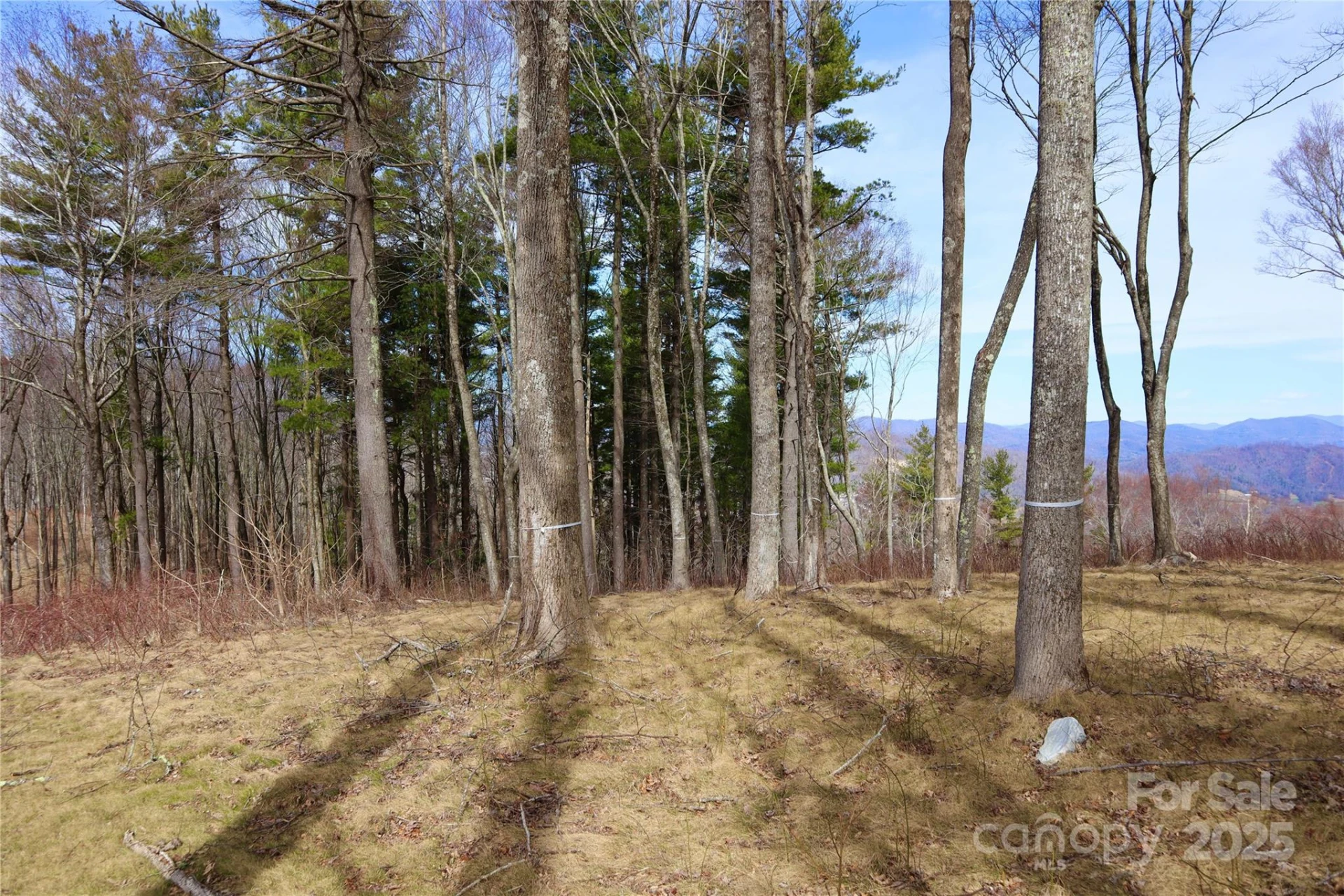 TBD East Garden Trail #18 - Photo 16