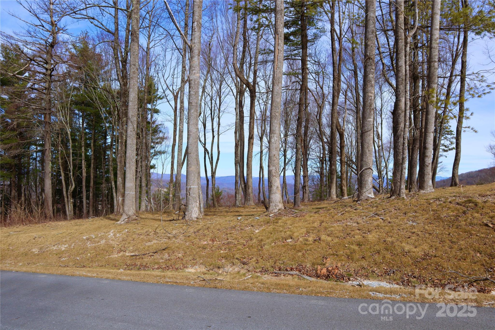 TBD East Garden Trail #18 - Photo 17