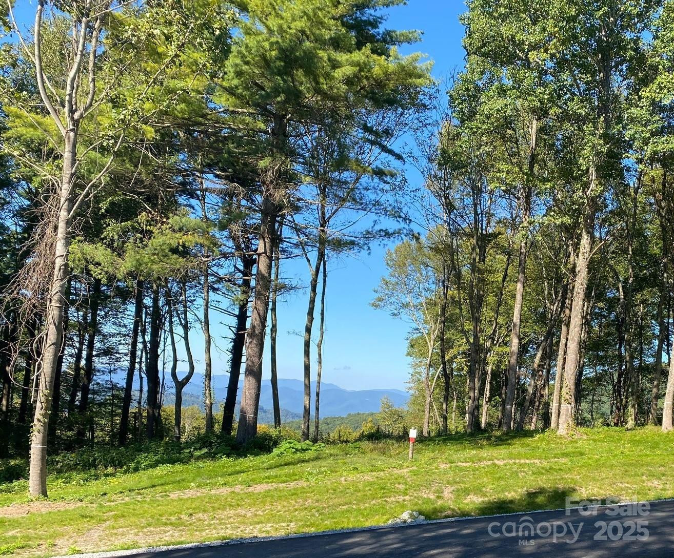 TBD East Garden Trail #18 - Photo 3