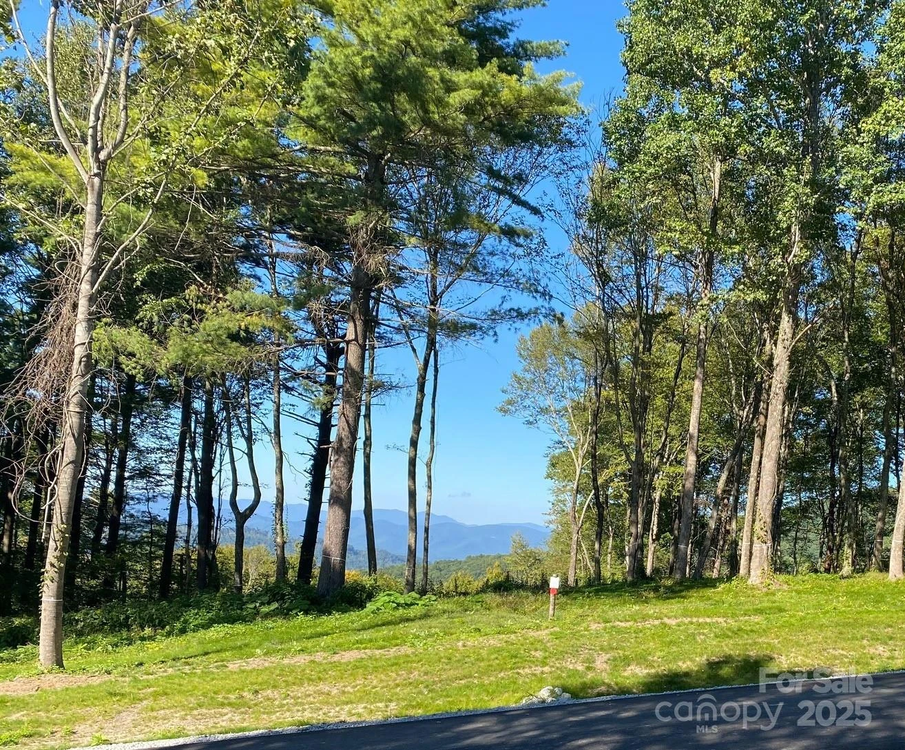 TBD East Garden Trail #18 - Photo 3