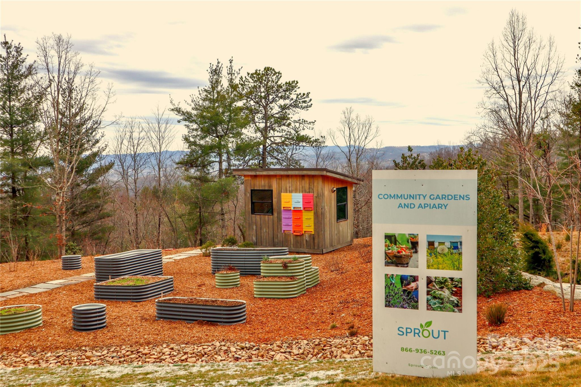 TBD East Garden Trail #18 - Photo 21