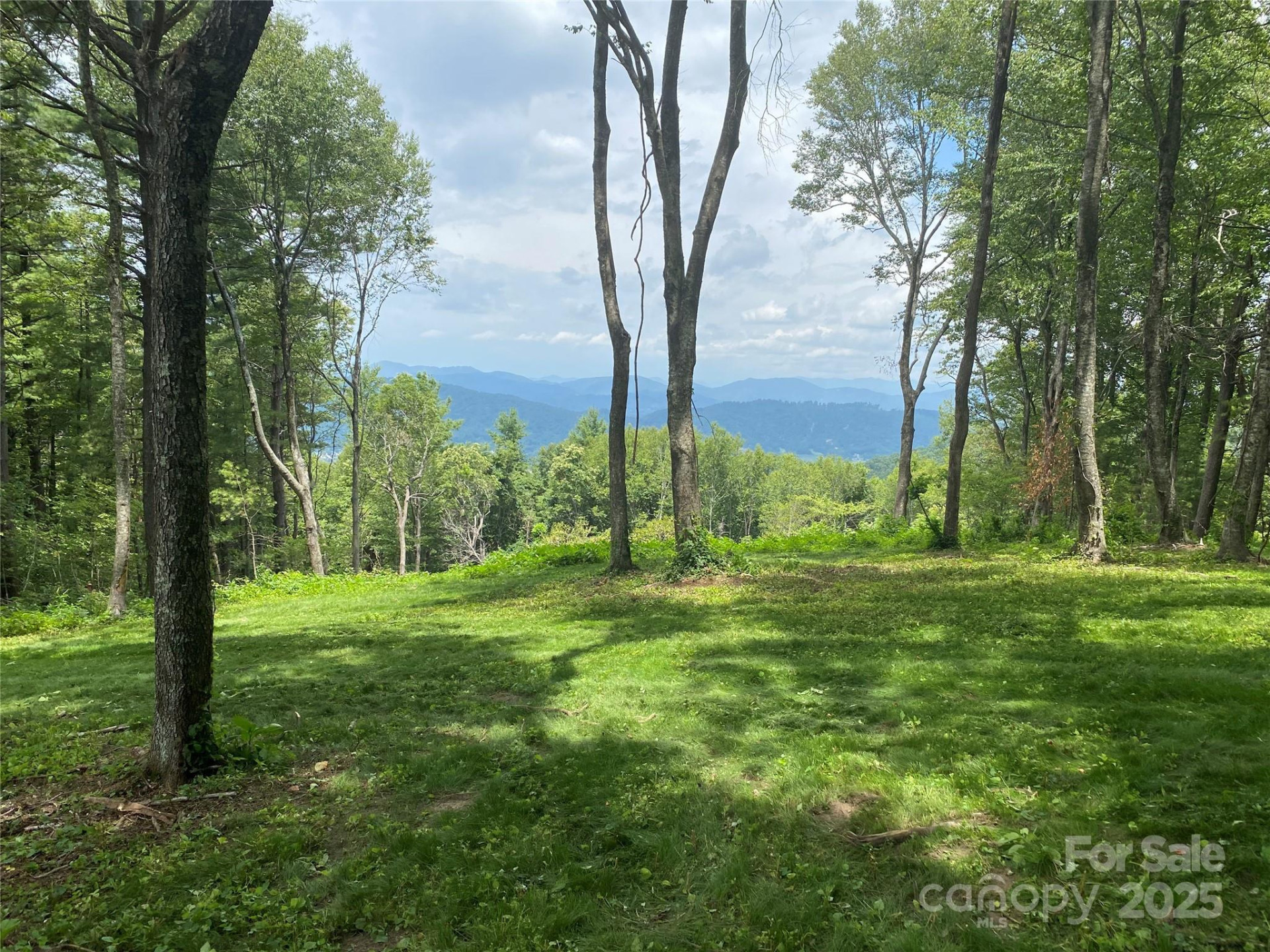 TBD East Garden Trail #18 - Photo 4