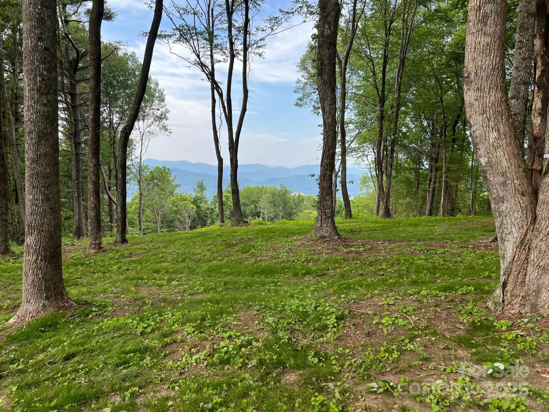 TBD East Garden Trail #18 - Photo 5