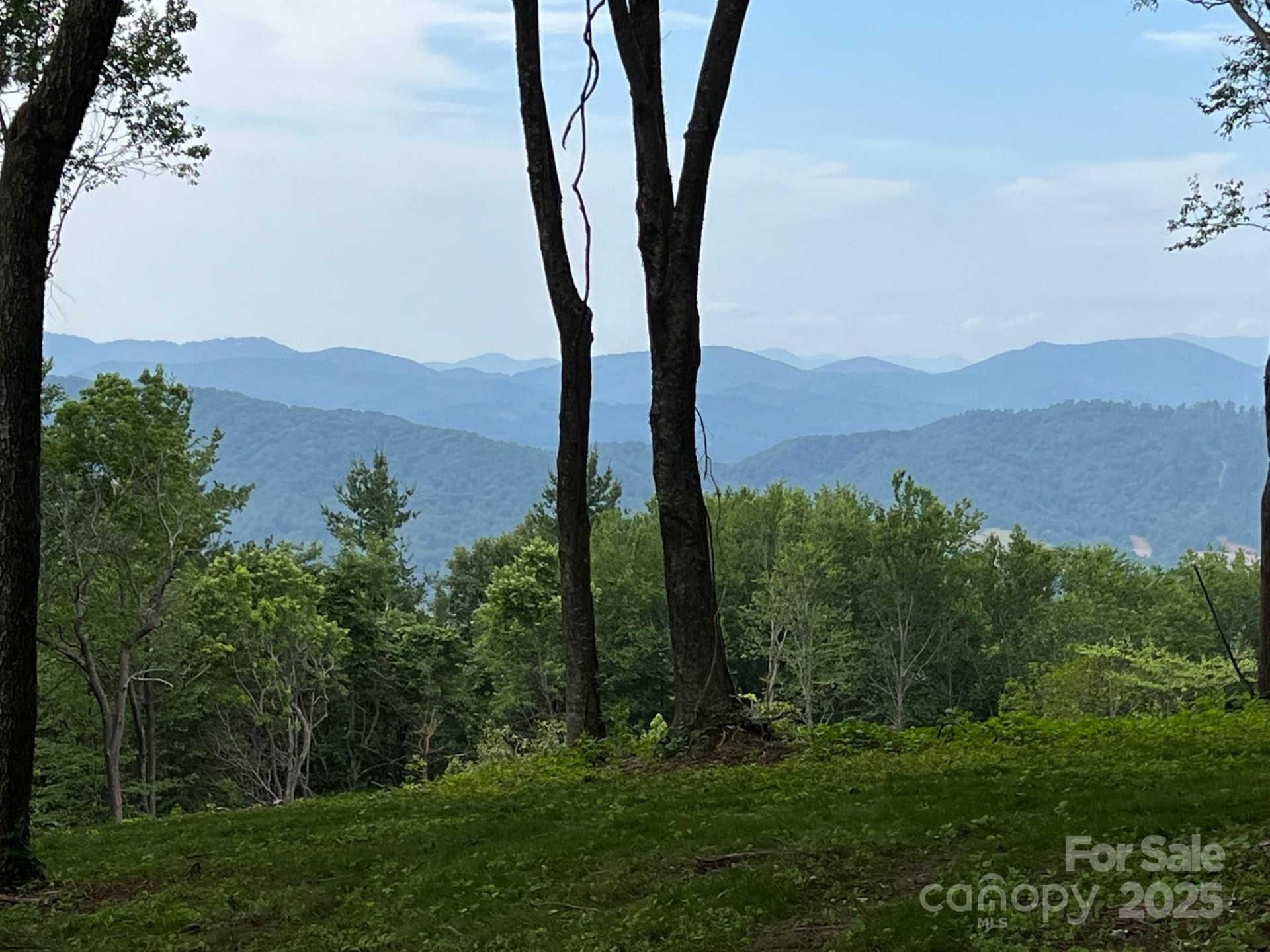 TBD East Garden Trail #18 - Photo 6