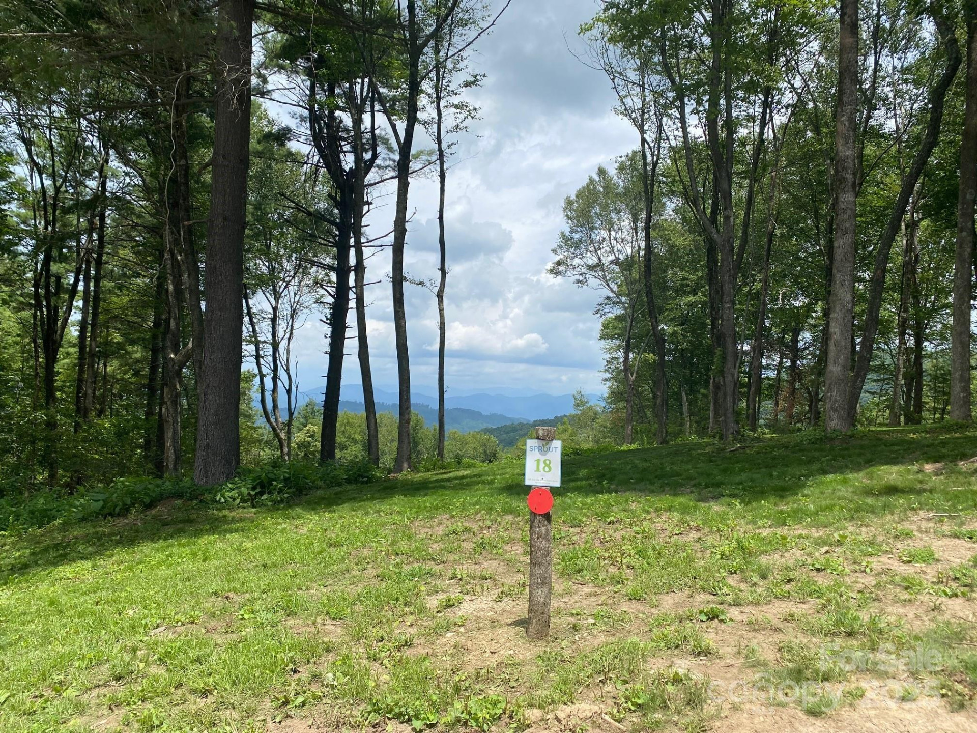 TBD East Garden Trail #18 - Photo 7