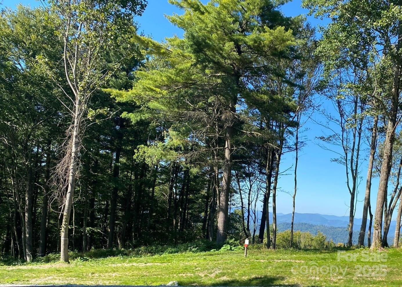 TBD East Garden Trail #18 - Photo 8