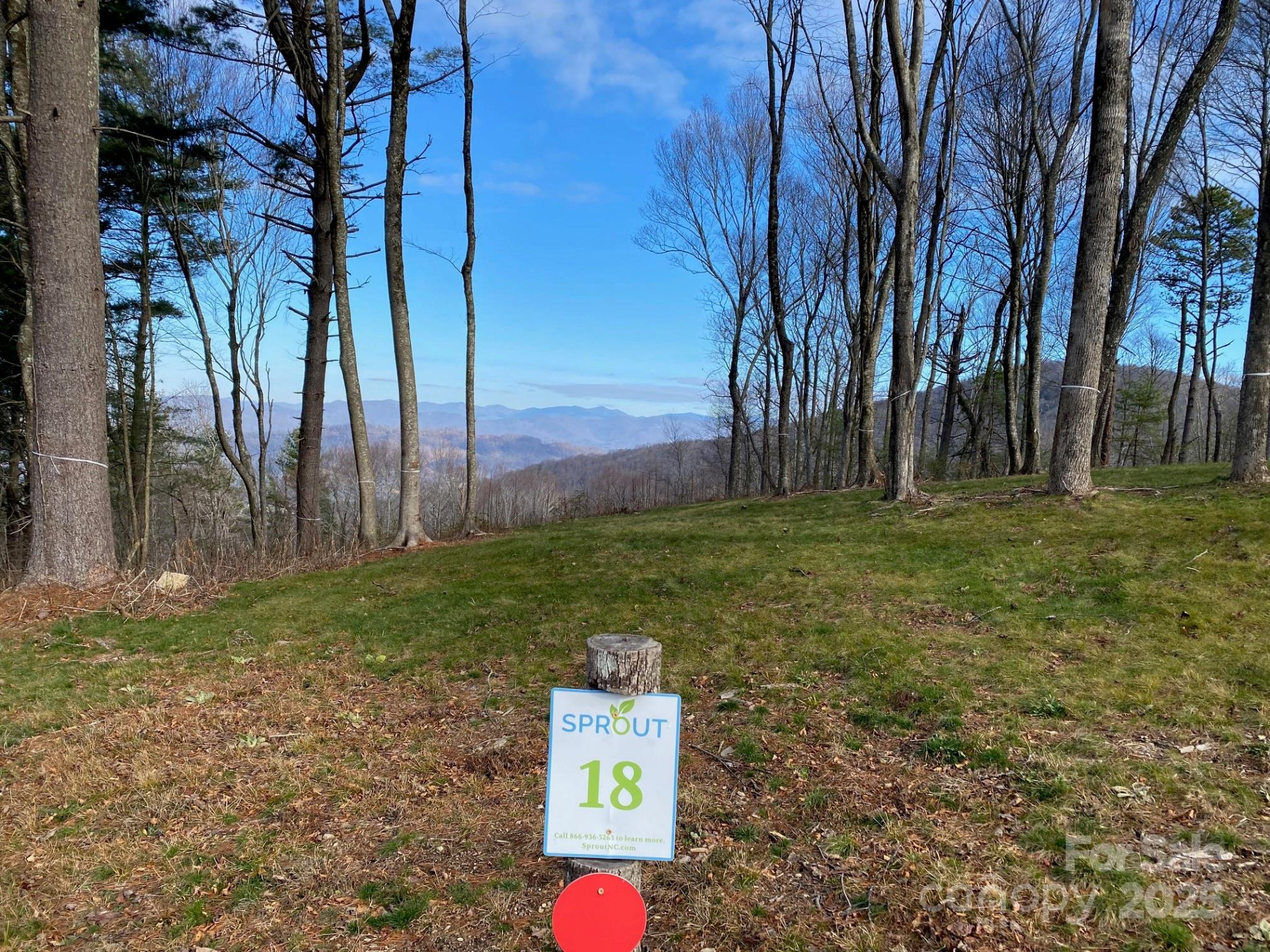 TBD East Garden Trail #18 - Photo 9