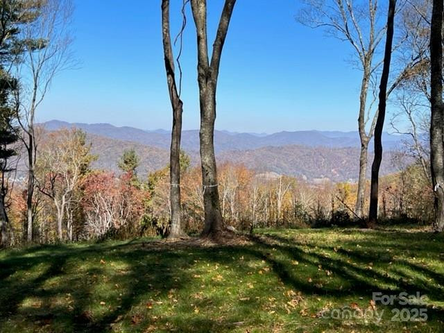 TBD East Garden Trail #18 - Photo 10