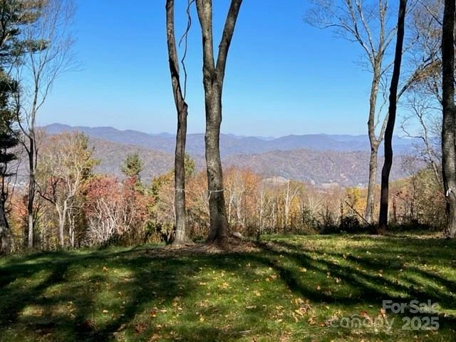 TBD East Garden Trail #18 - Photo 10