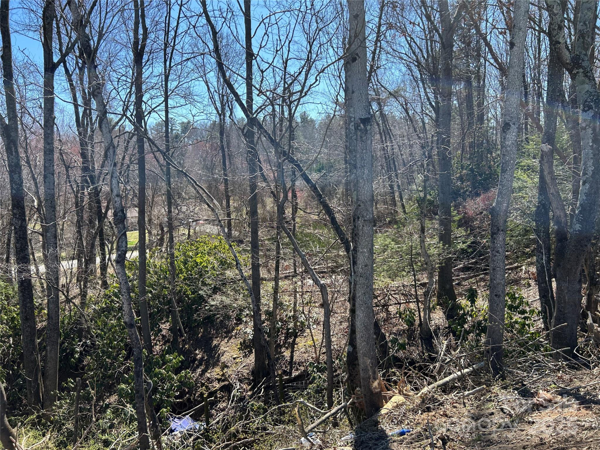 0 US 64 Highway - Photo 11