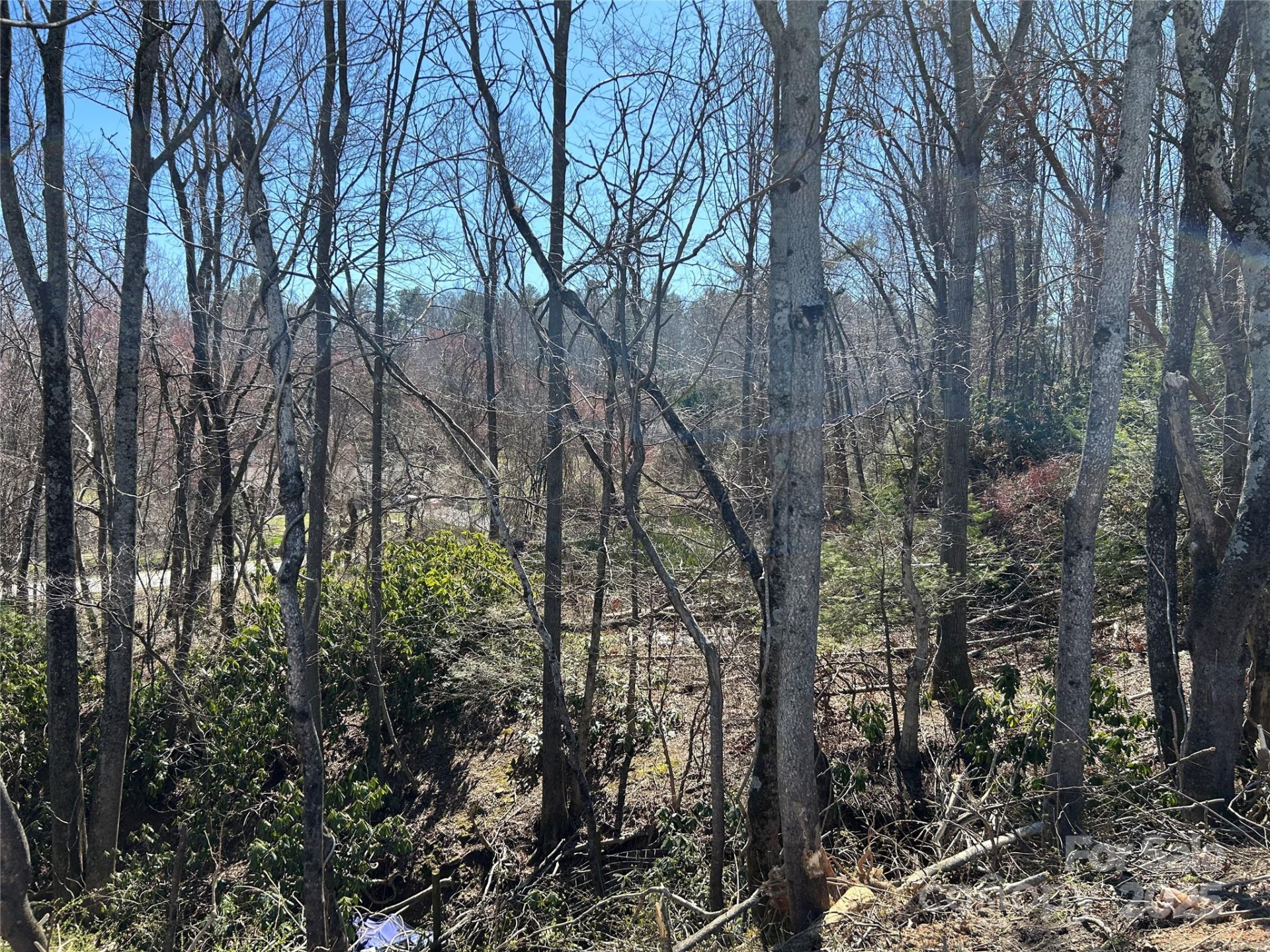 0 US 64 Highway - Photo 12