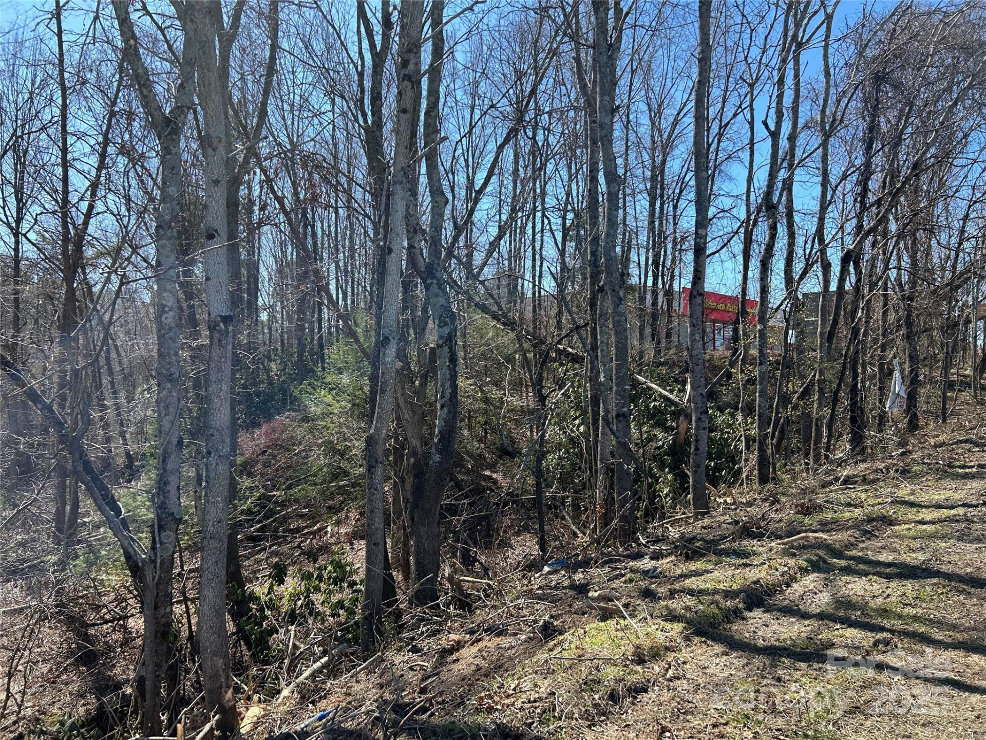 0 US 64 Highway - Photo 13