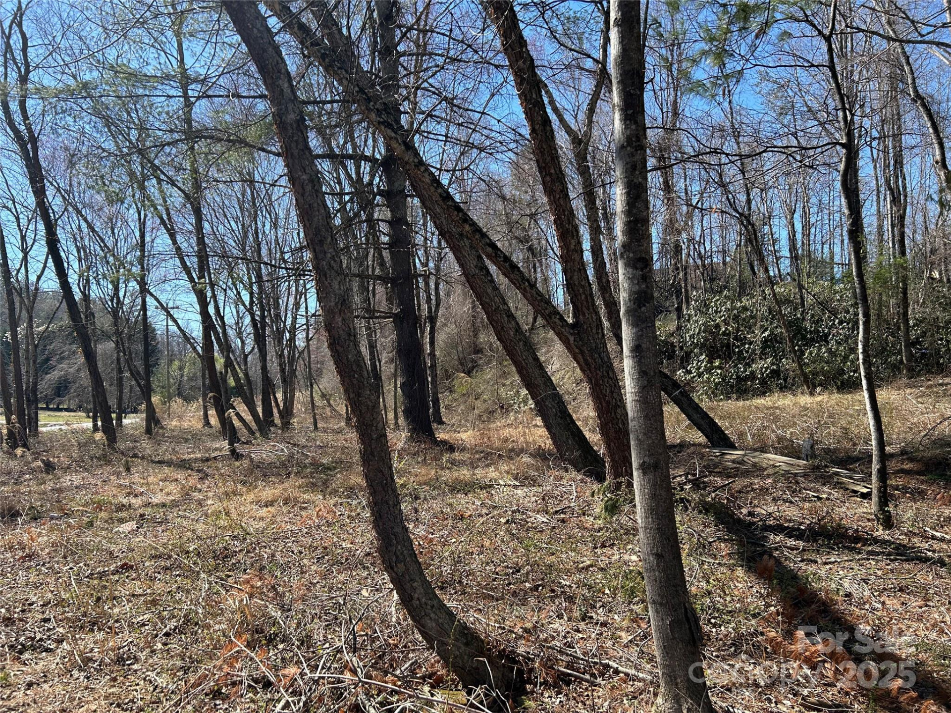 0 US 64 Highway - Photo 17