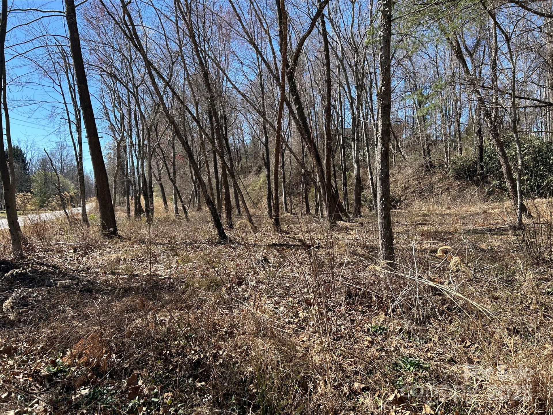 0 US 64 Highway - Photo 20