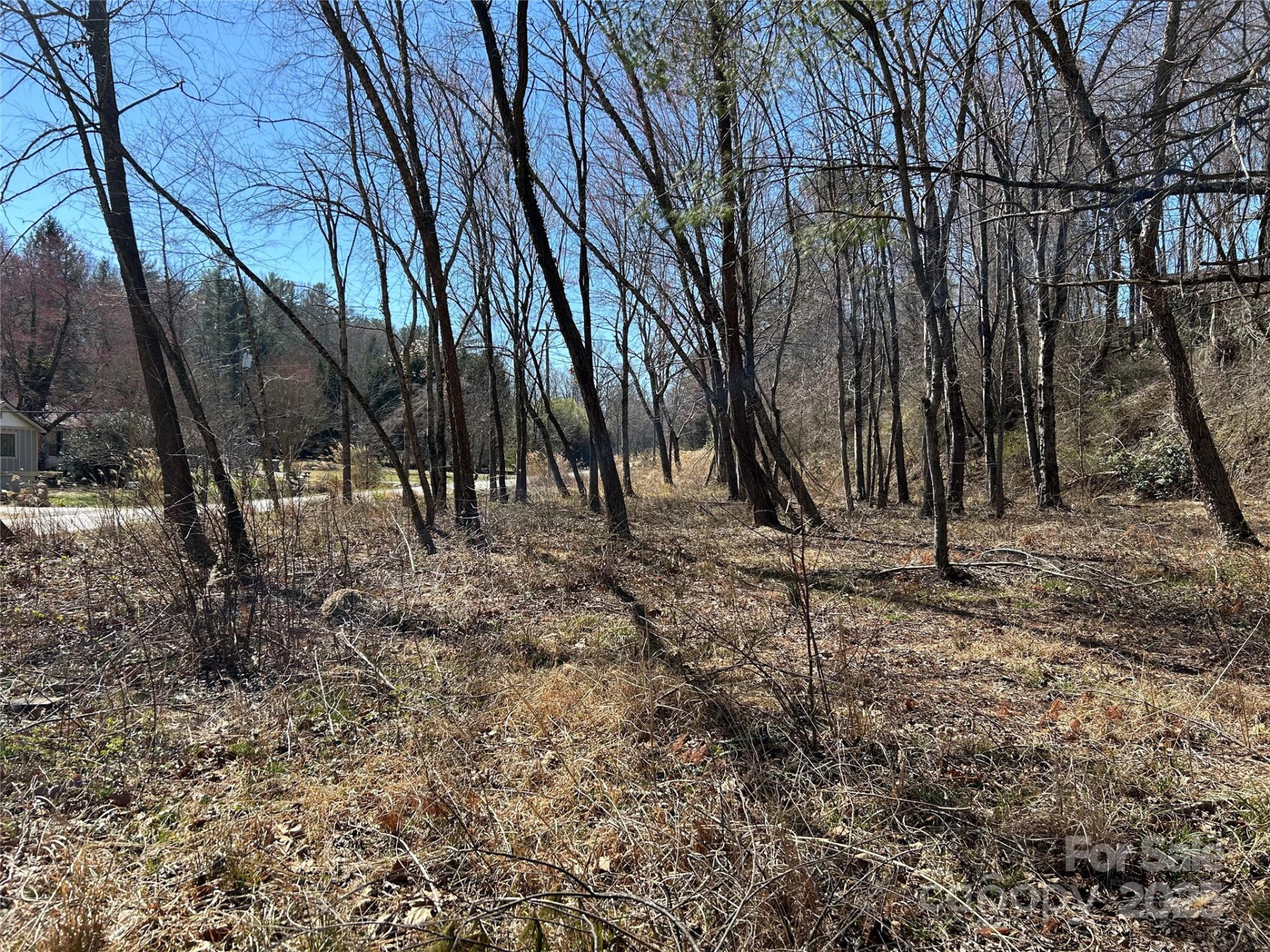 0 US 64 Highway - Photo 4