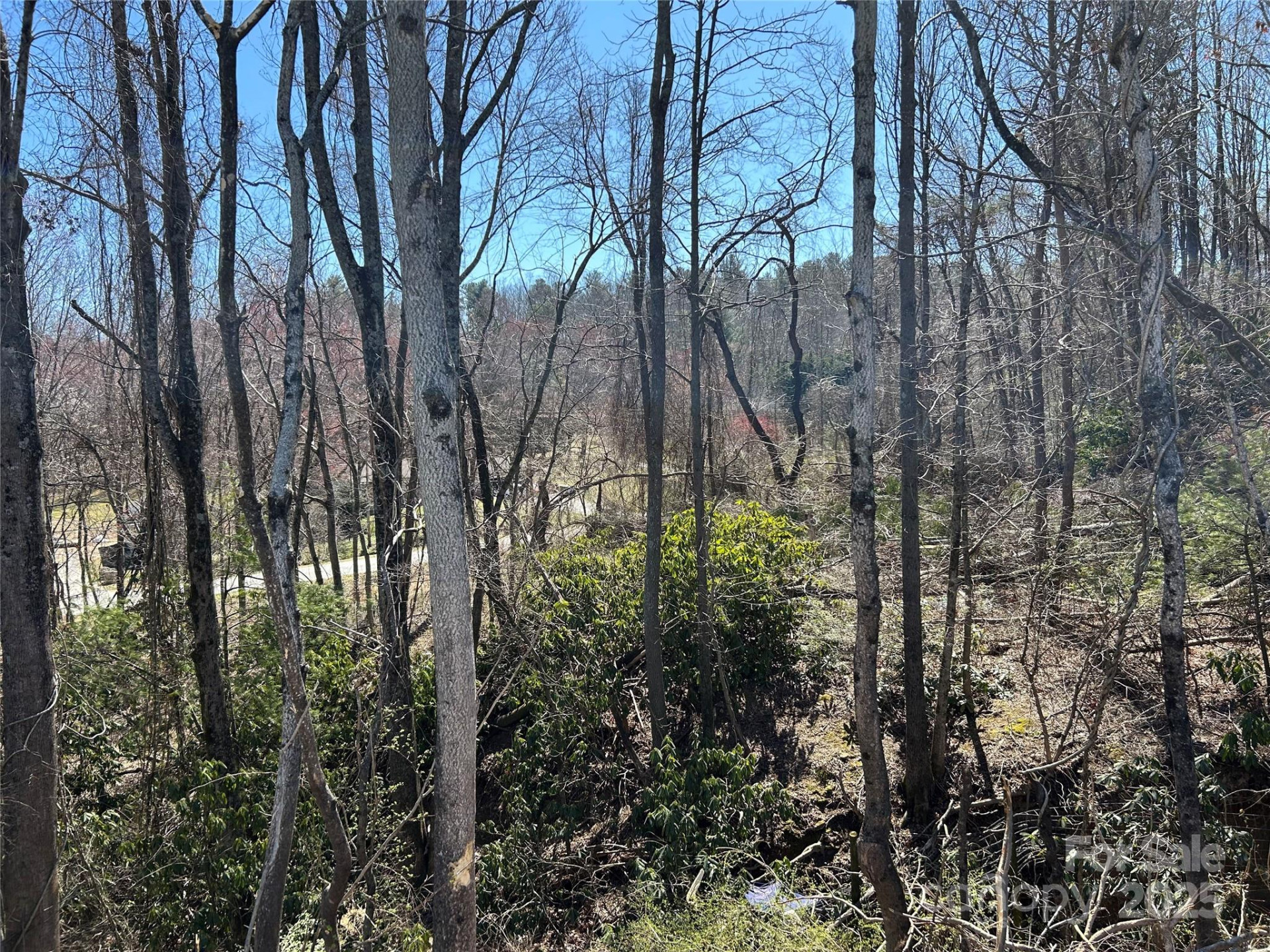 0 US 64 Highway - Photo 6