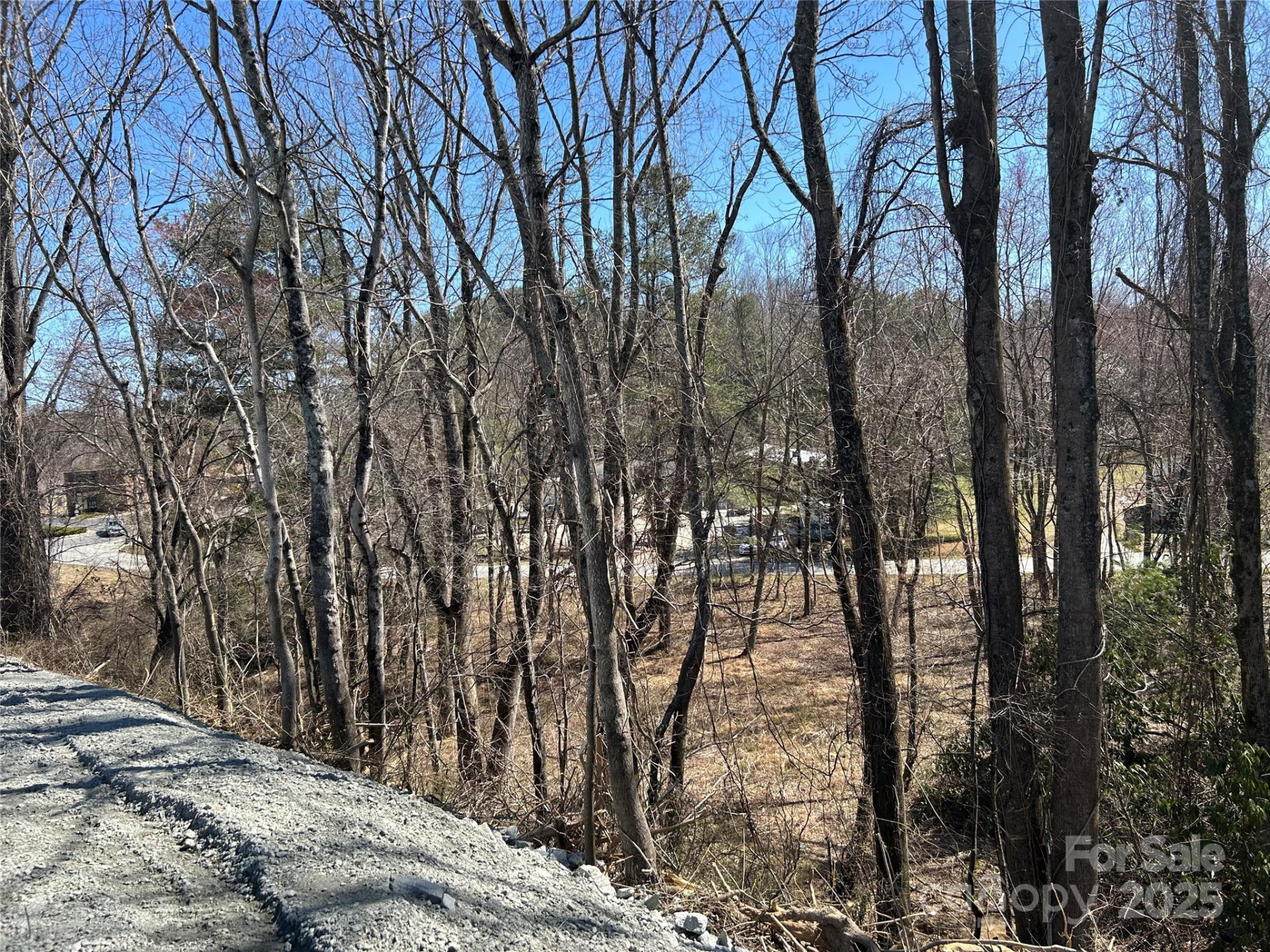 0 US 64 Highway - Photo 7