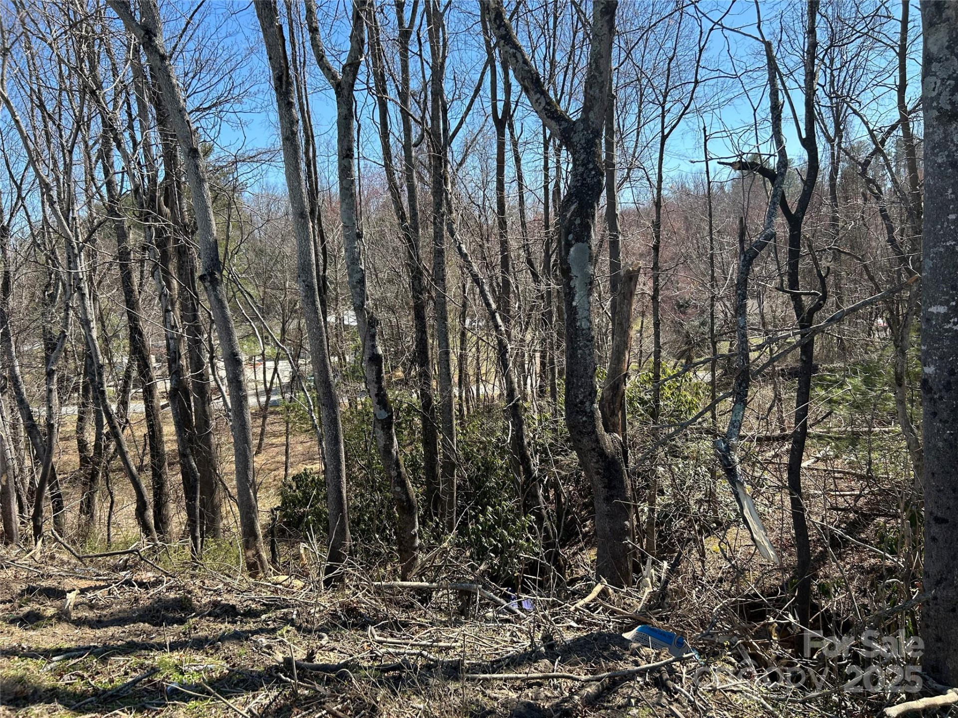 0 US 64 Highway - Photo 8