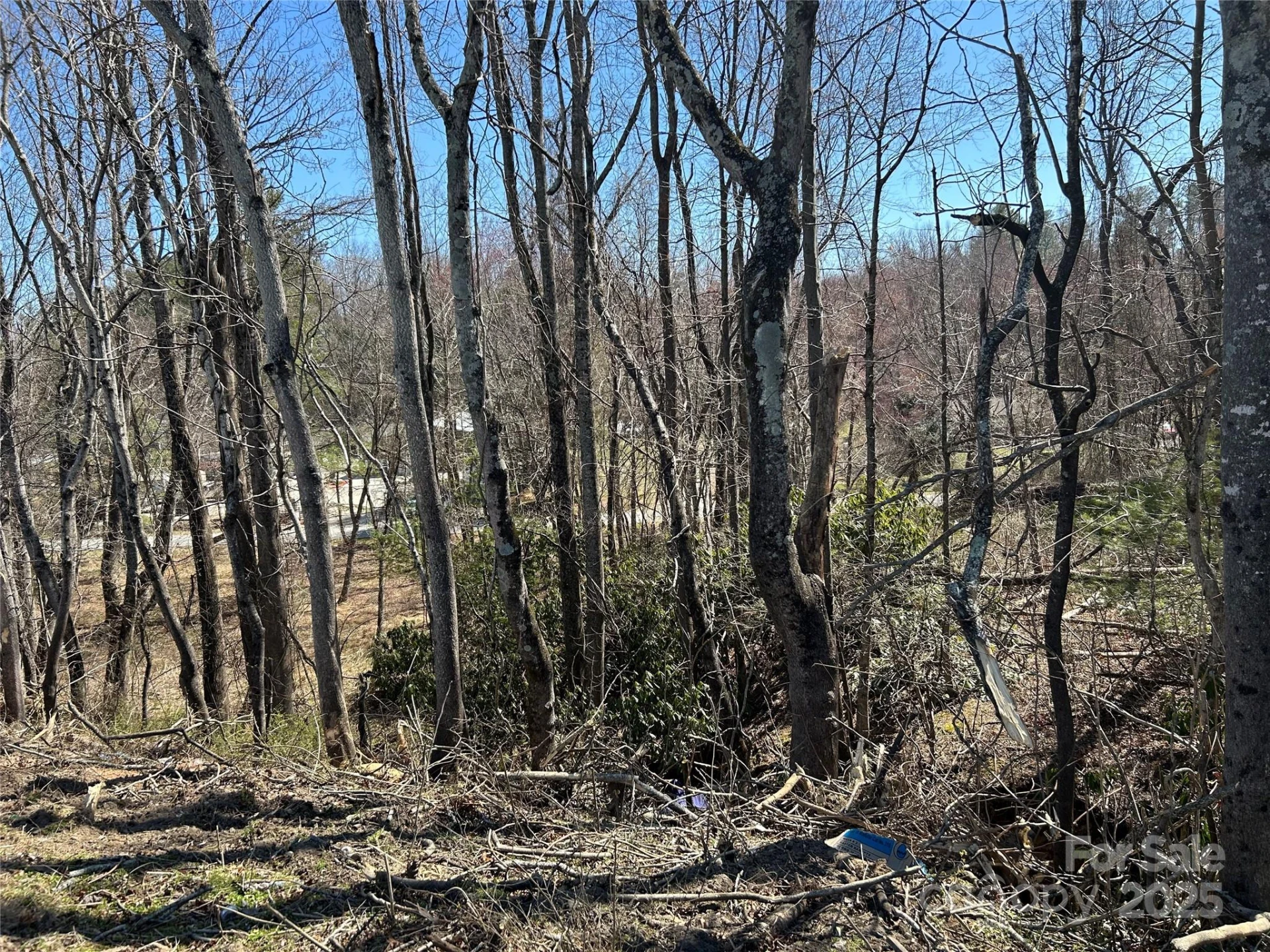 0 US 64 Highway - Photo 8