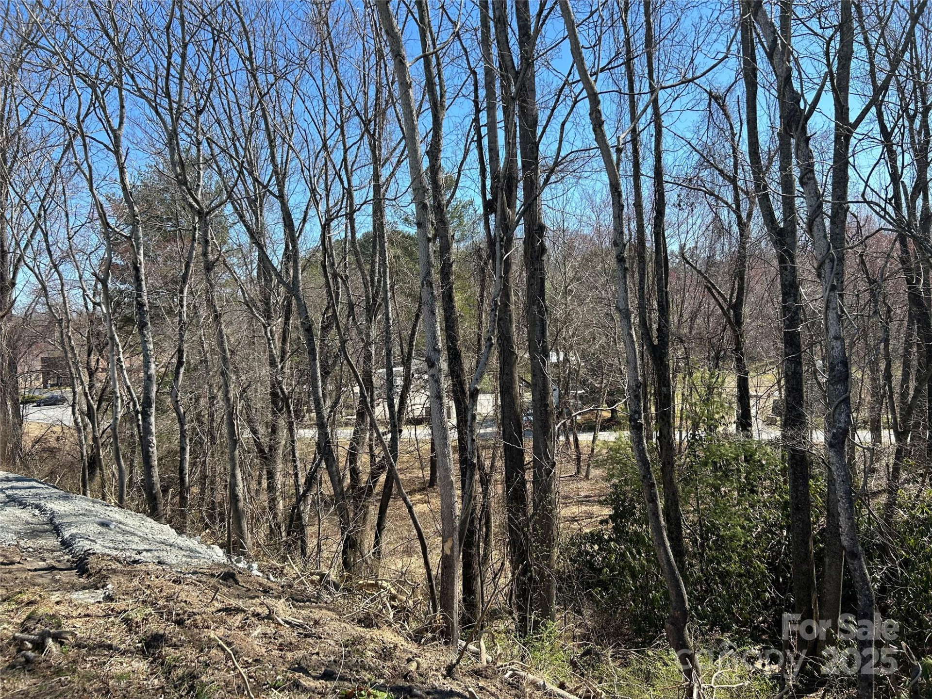 0 US 64 Highway - Photo 9