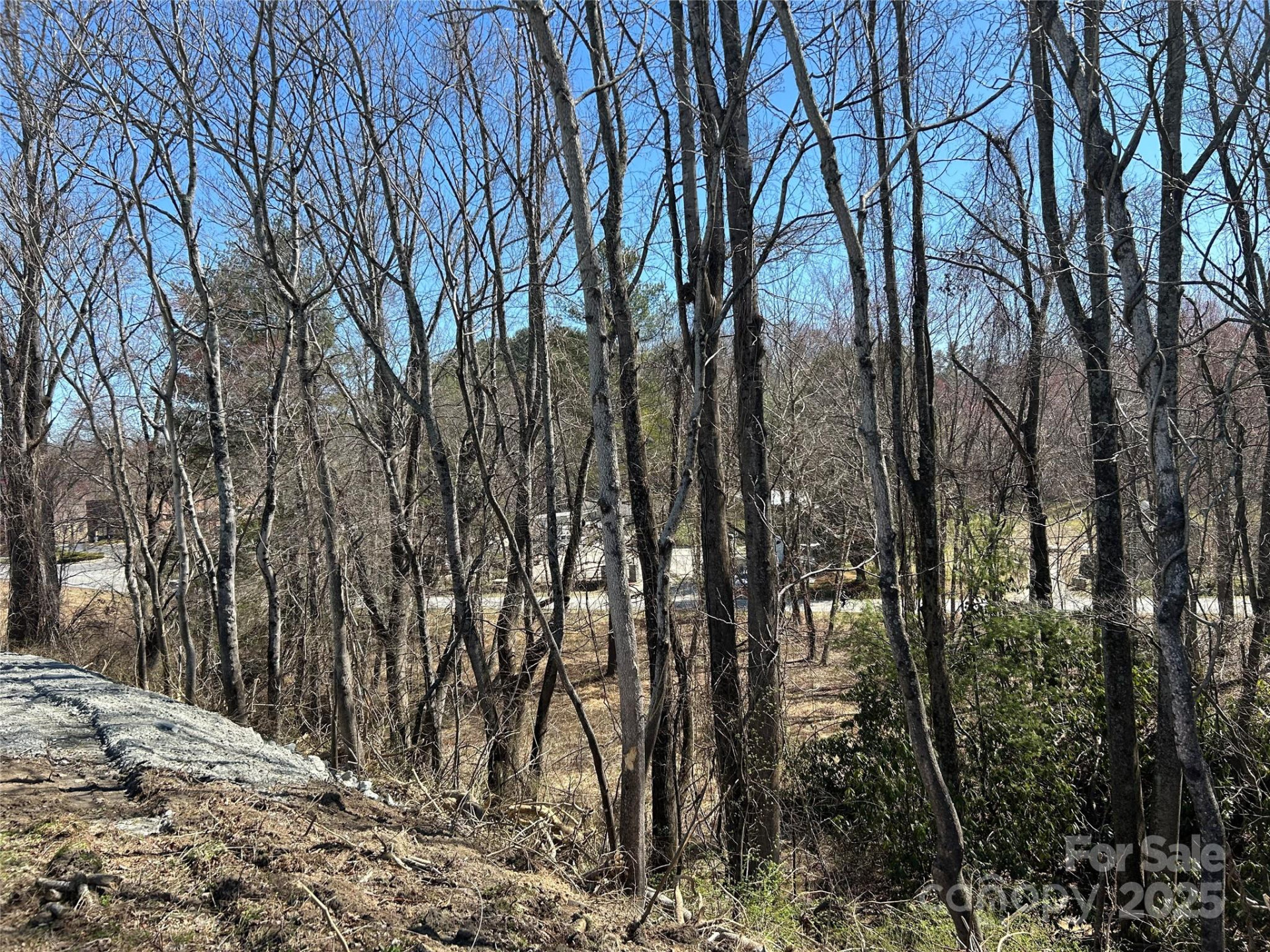 0 US 64 Highway - Photo 10