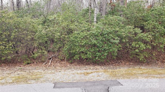 9999 Gagama Court, Brevard, NC, 28712