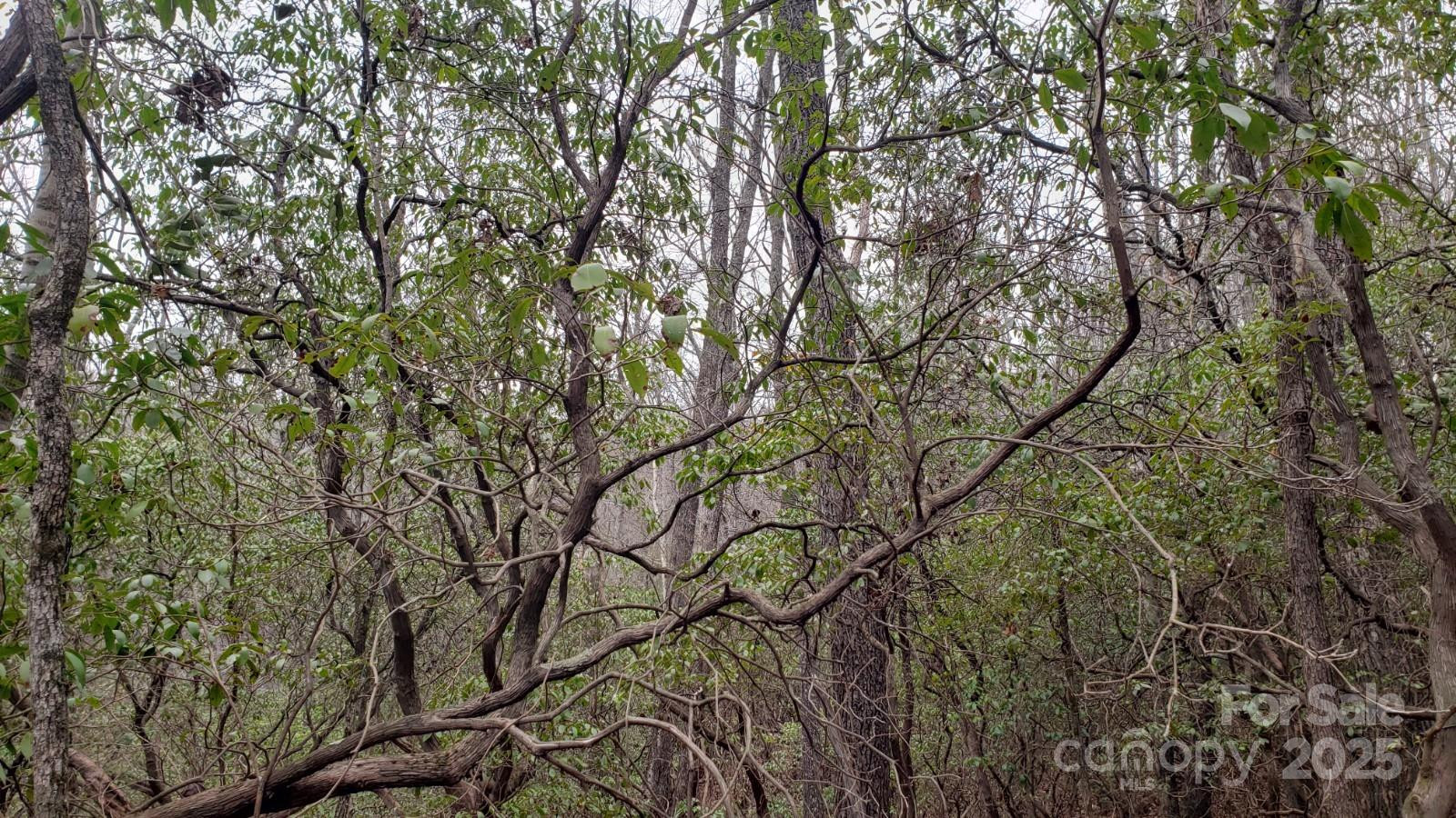 9999 Gagama Court #16/19 - Photo 11