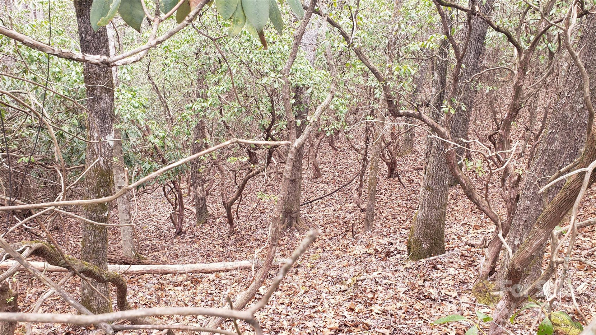 9999 Gagama Court #16/19 - Photo 4