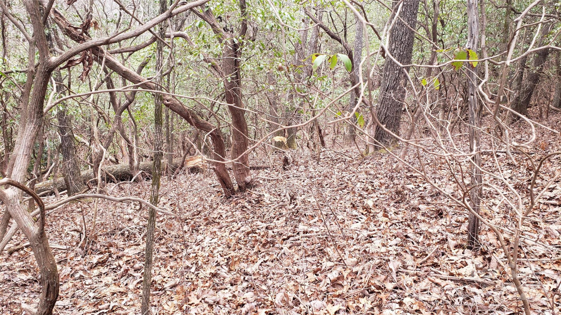 9999 Gagama Court #16/19 - Photo 6