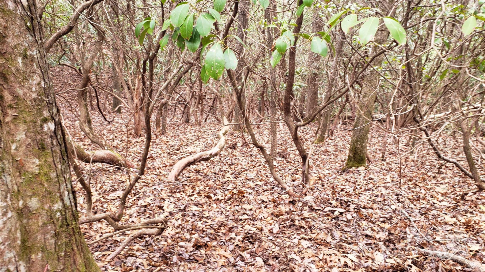 9999 Gagama Court #16/19 - Photo 7