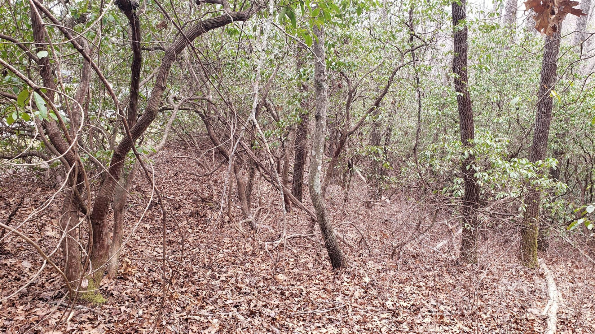 9999 Gagama Court #16/19 - Photo 8