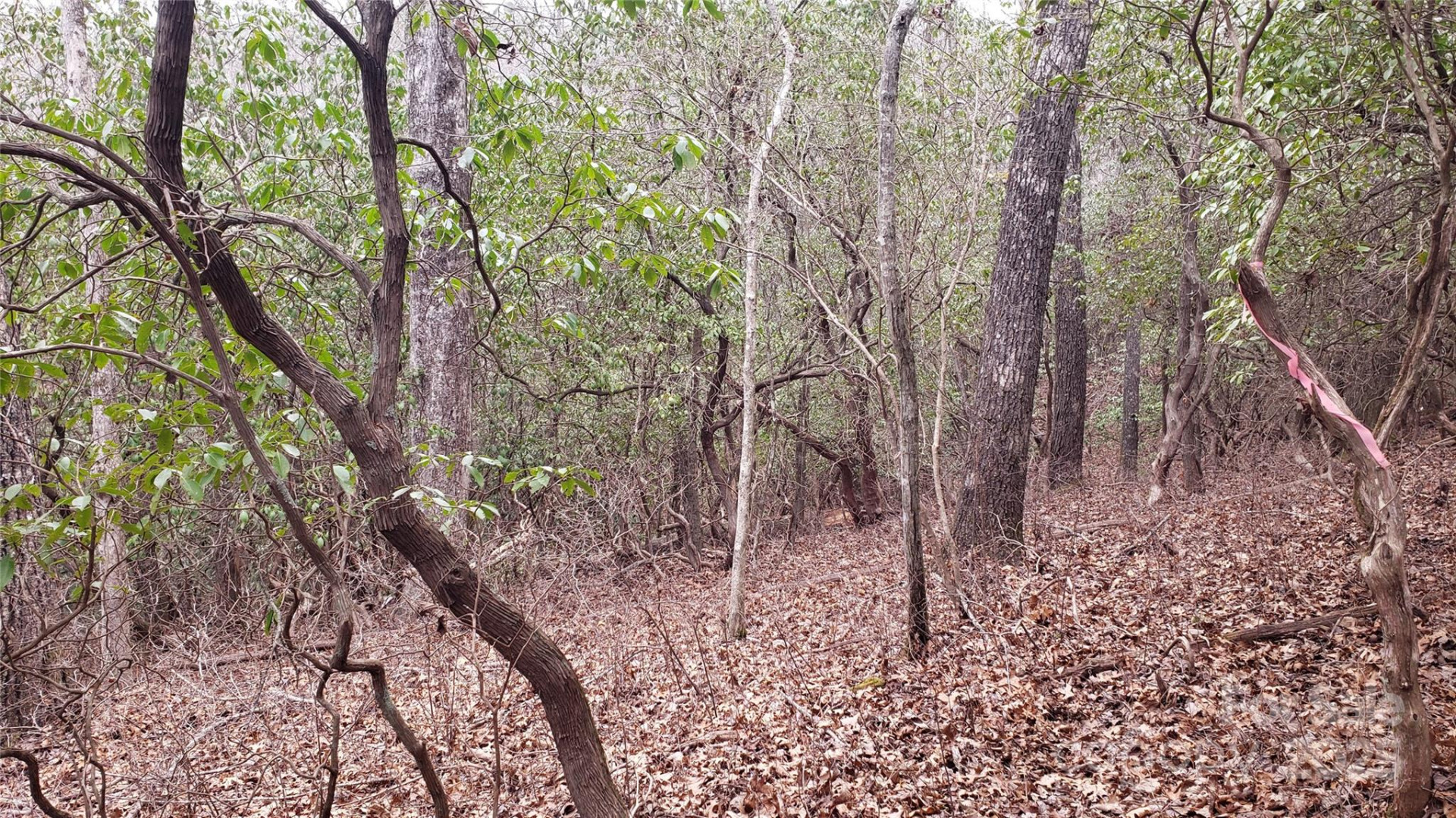 9999 Gagama Court #16/19 - Photo 9