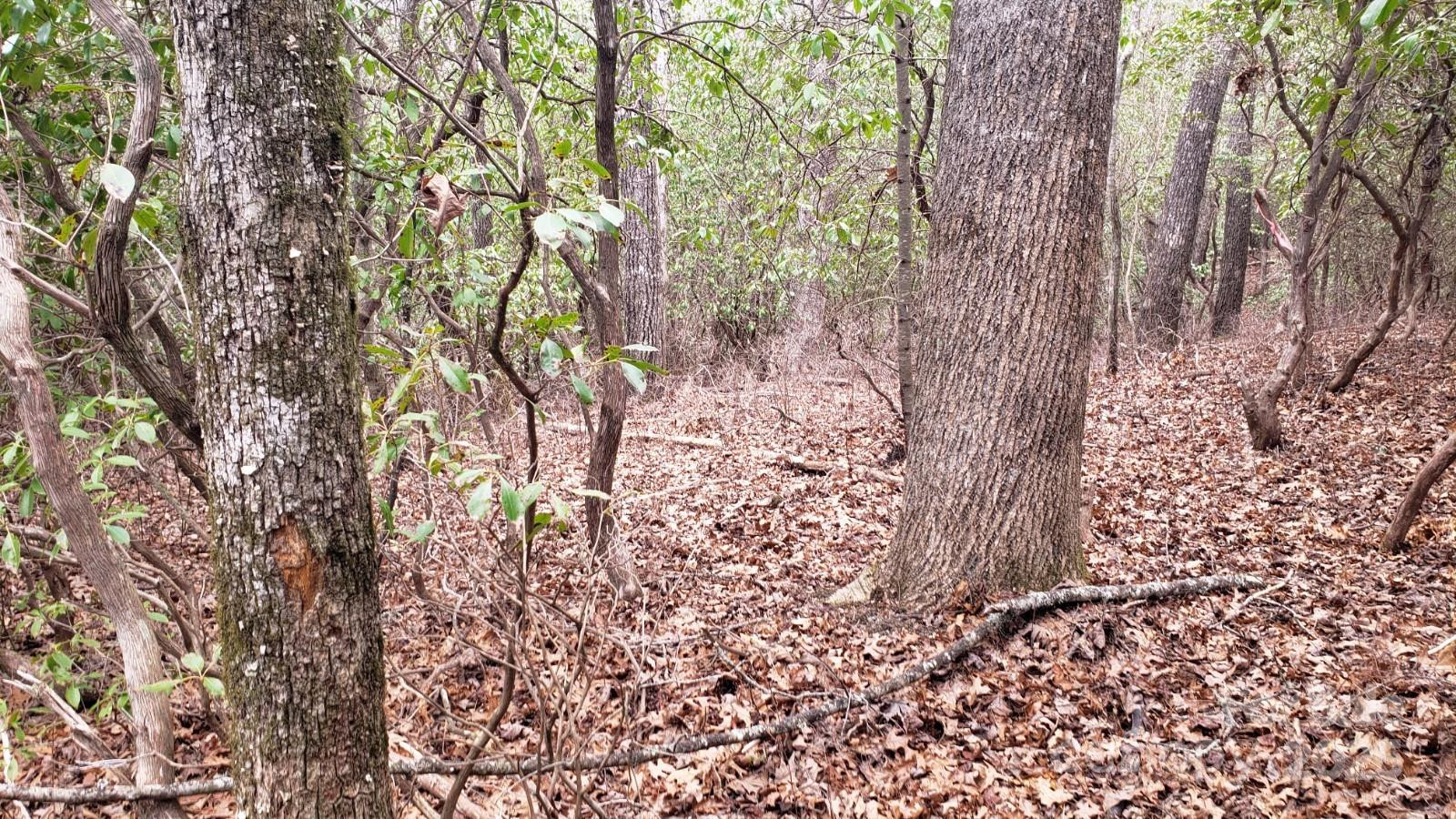 9999 Gagama Court #16/19 - Photo 10