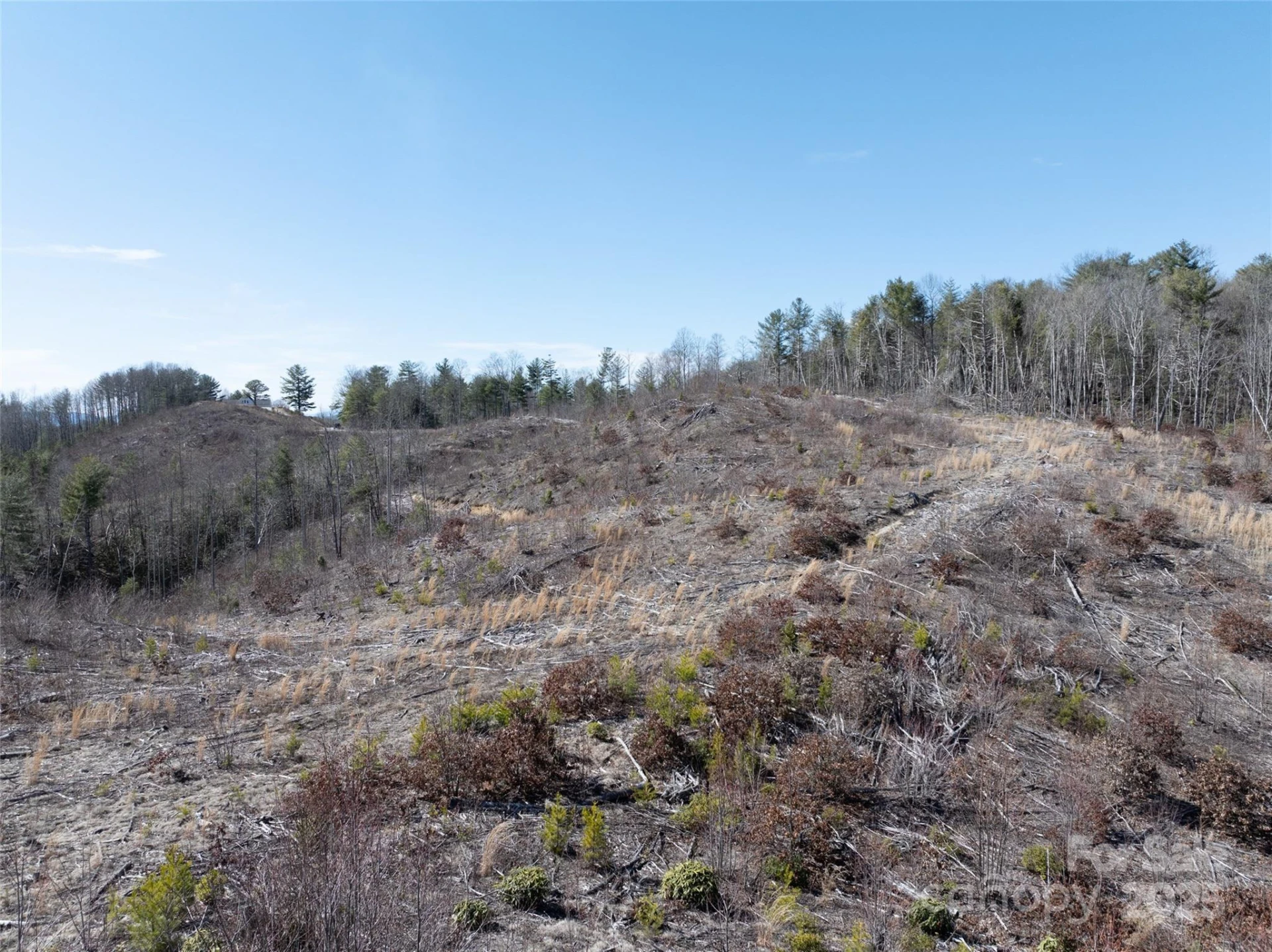 9999 Star Point Drive - Photo 15
