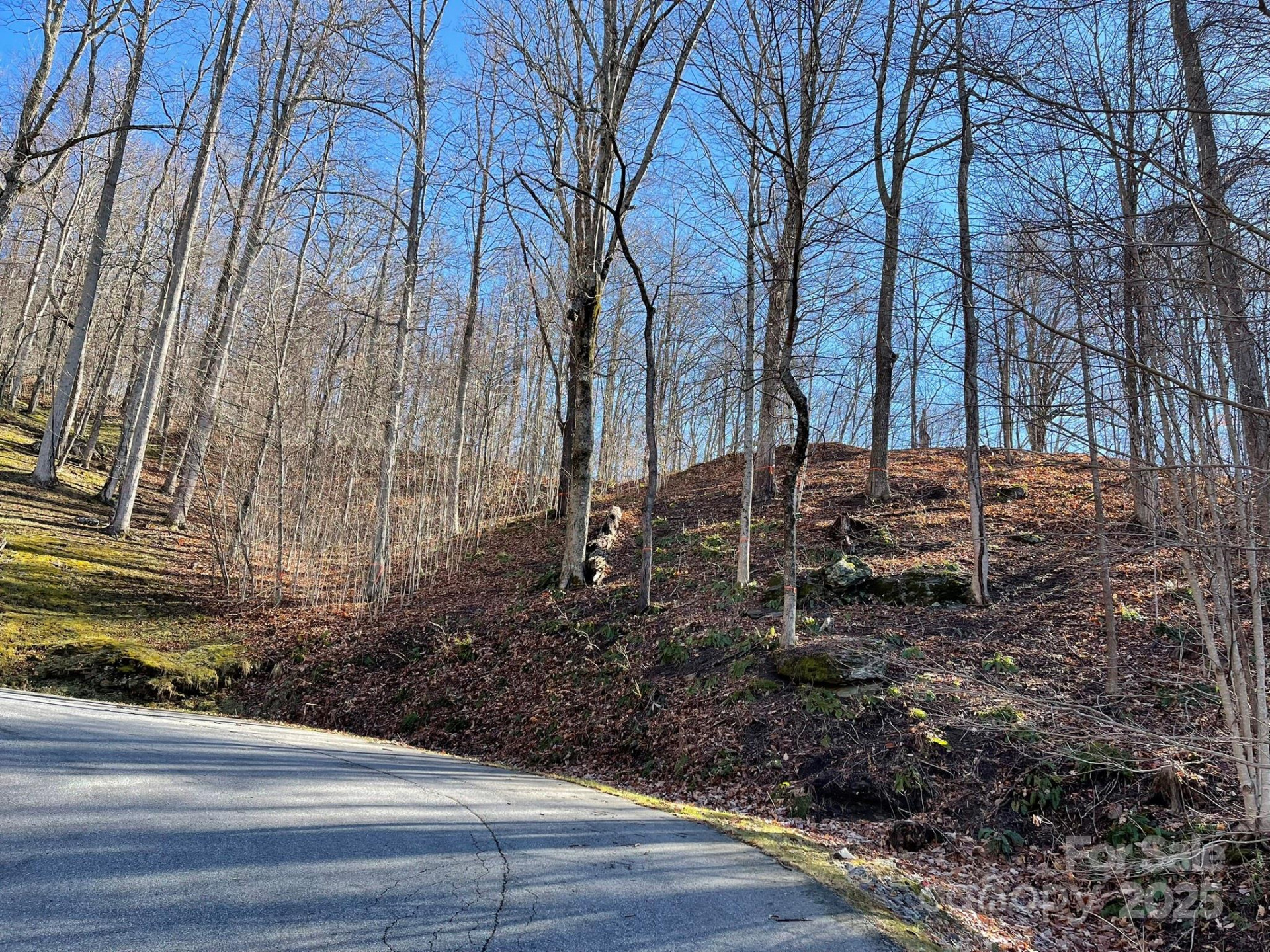 00 Weatherwatch Lane #48 - Photo 2